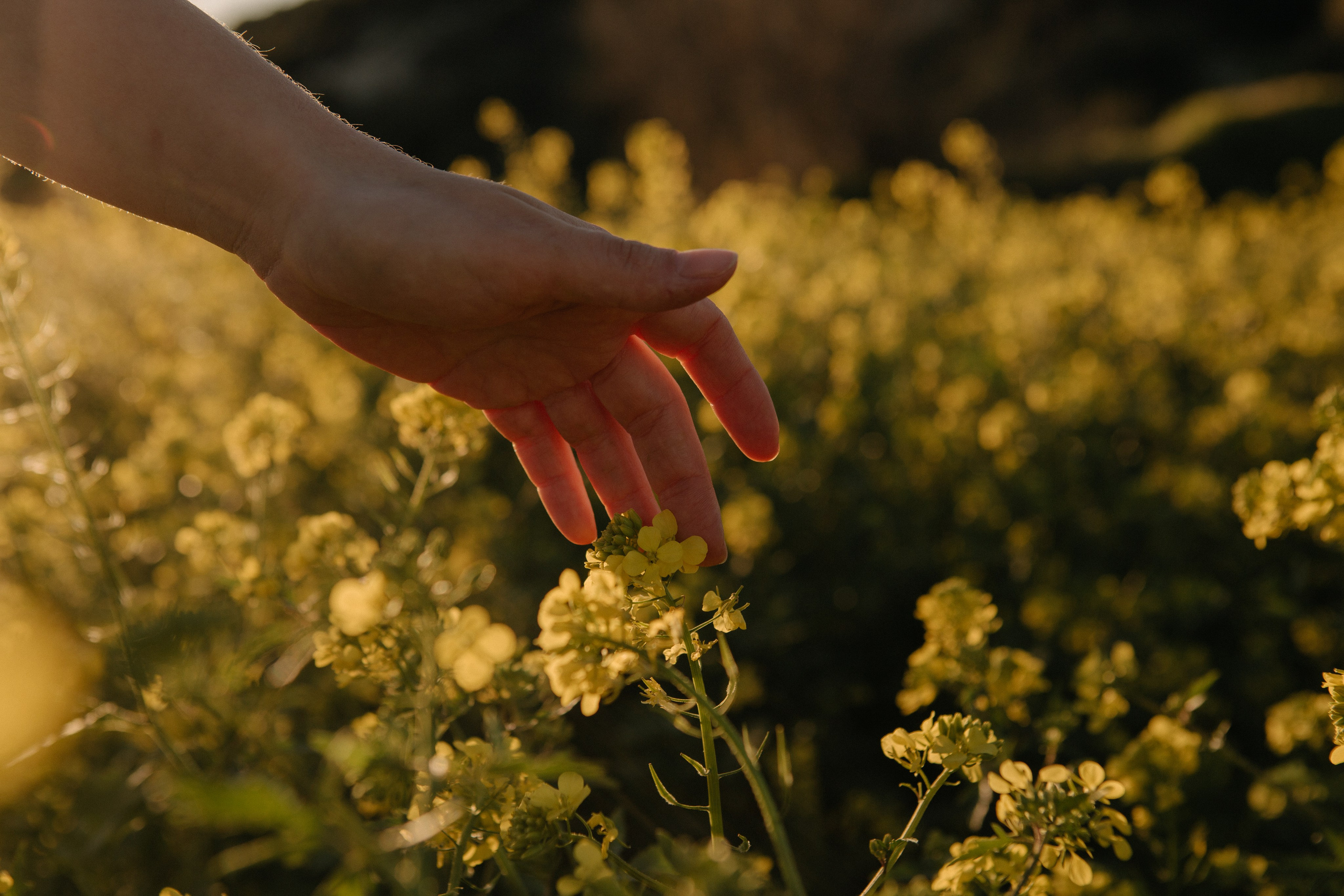 Veta. Portrait, family and pet photographer in Cyprus, Ksenia Bourdelle
