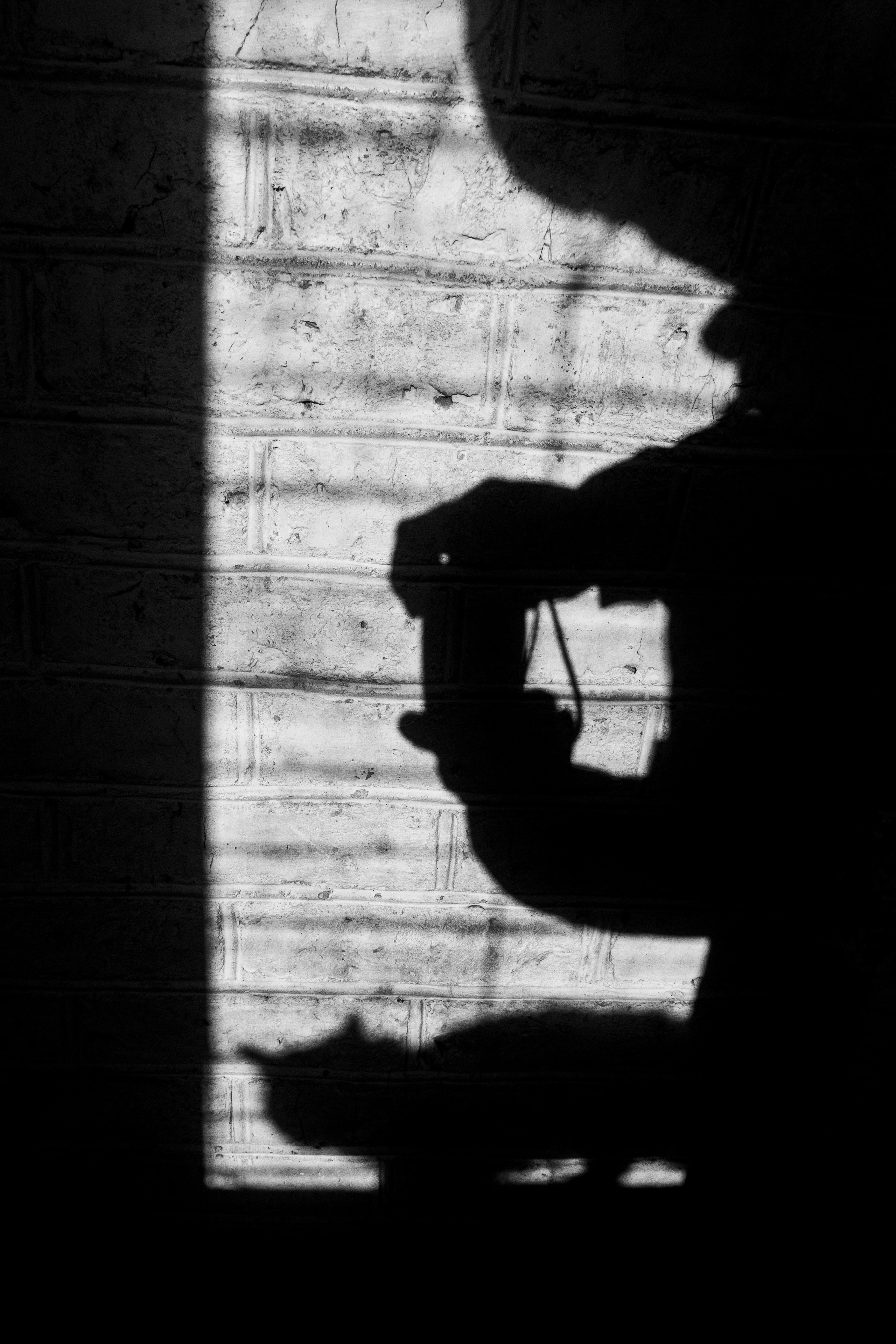 Ферма. Фотограф Антон Денисенко: Портрет, Документалистика, Пейзаж. Москва