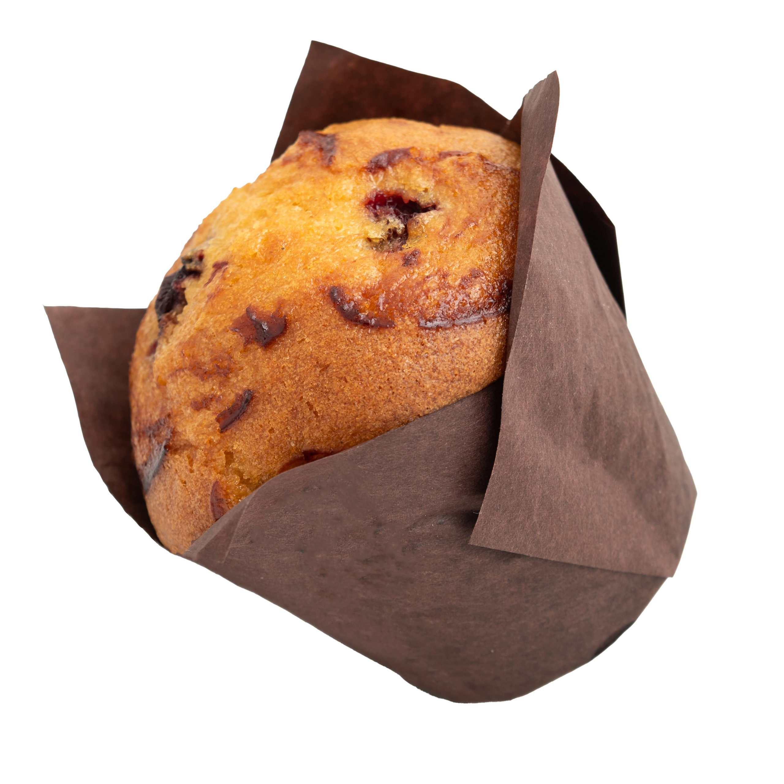 Изоляты для сайтов. Фотограф в Москве Дмитровская Дарья