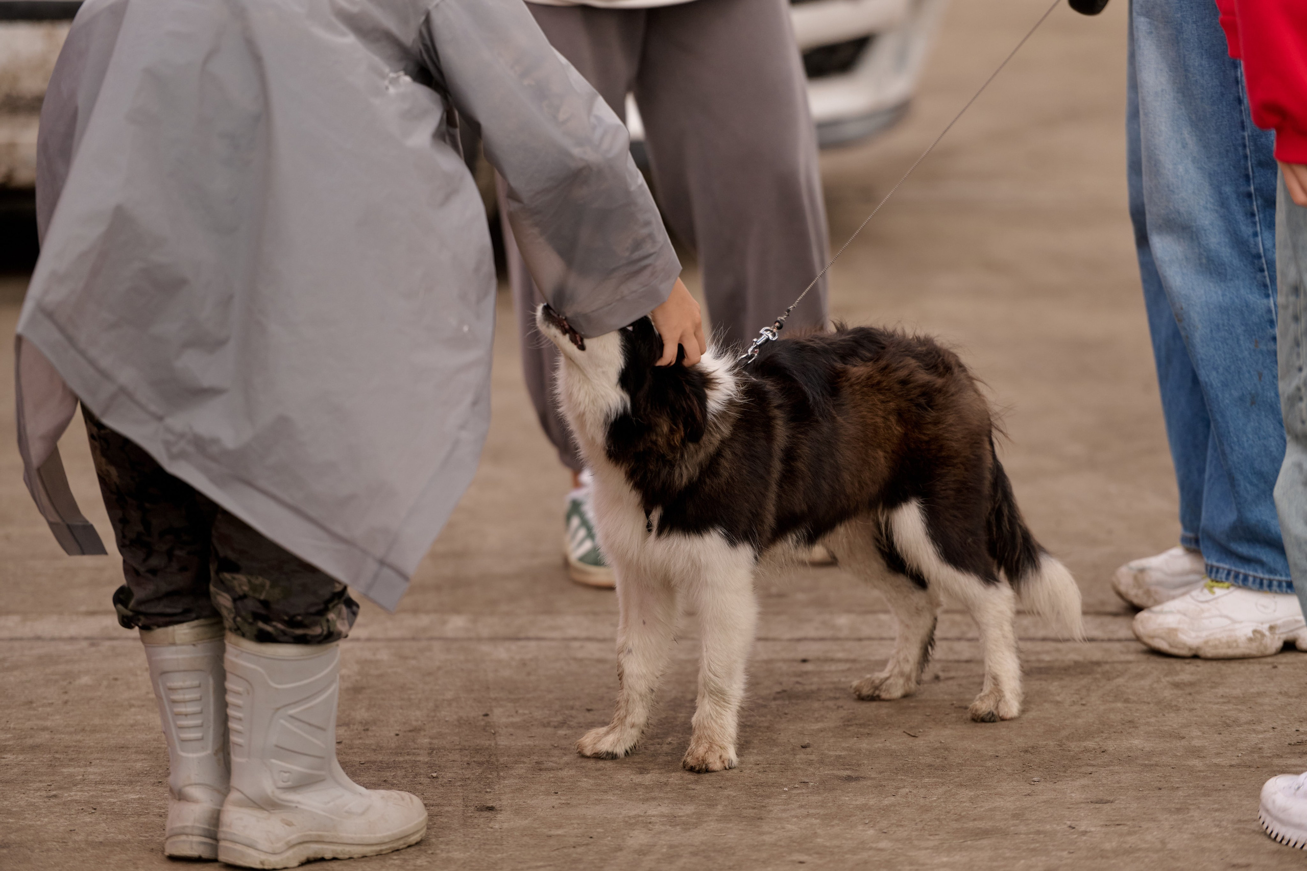 4 этап кубка Ракета 2025 год. Сергей Богомолов. Свадебный и семейный фотограф