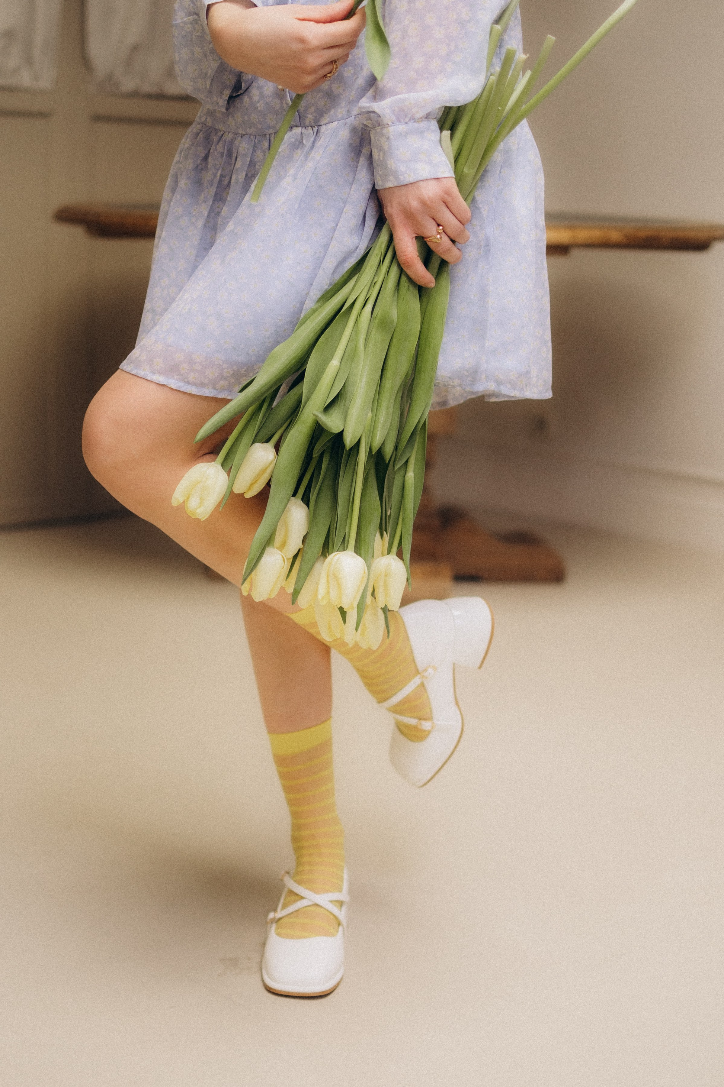 Тюльпаны. Главная