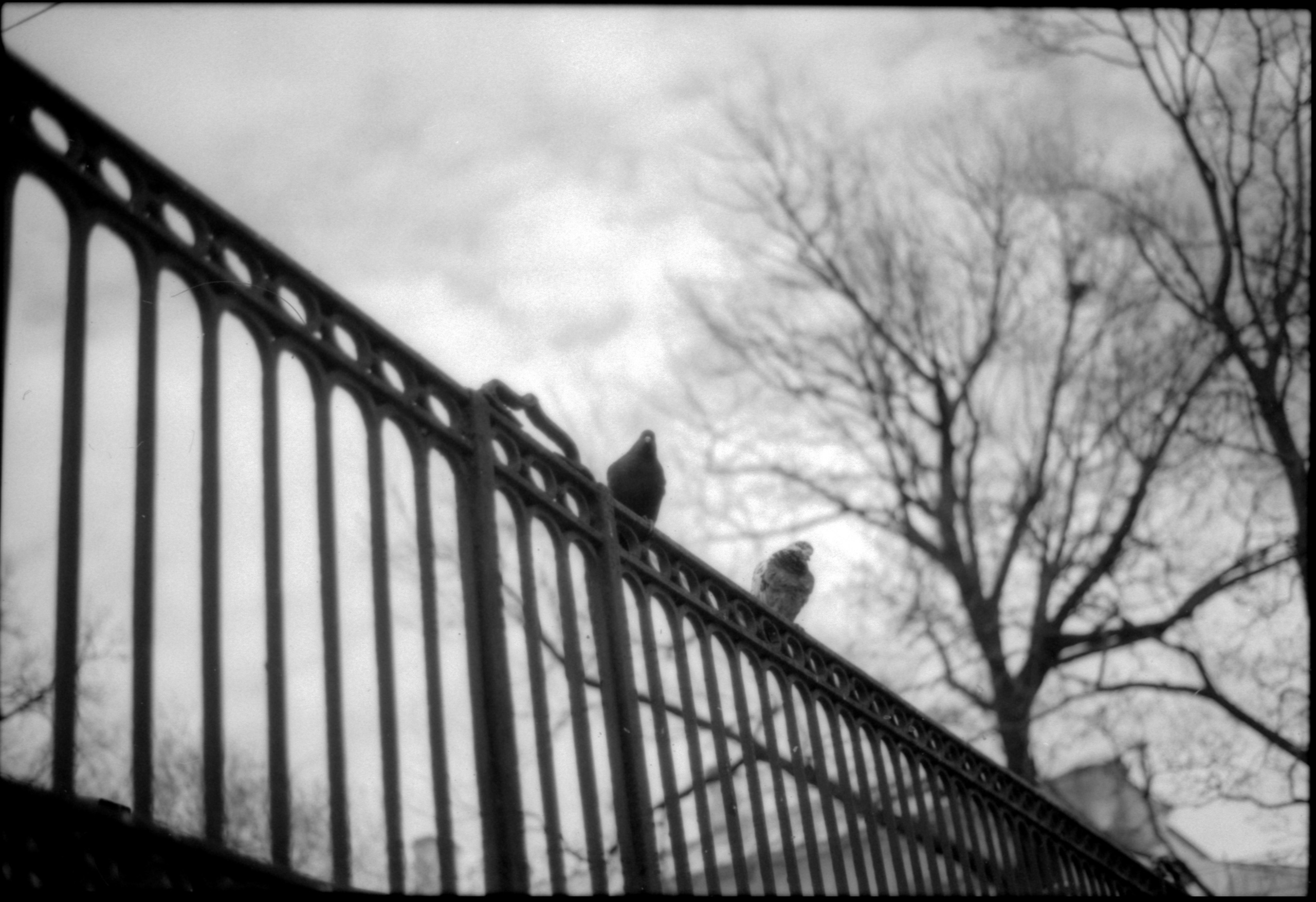 Петербург. Фотограф в Ярославле