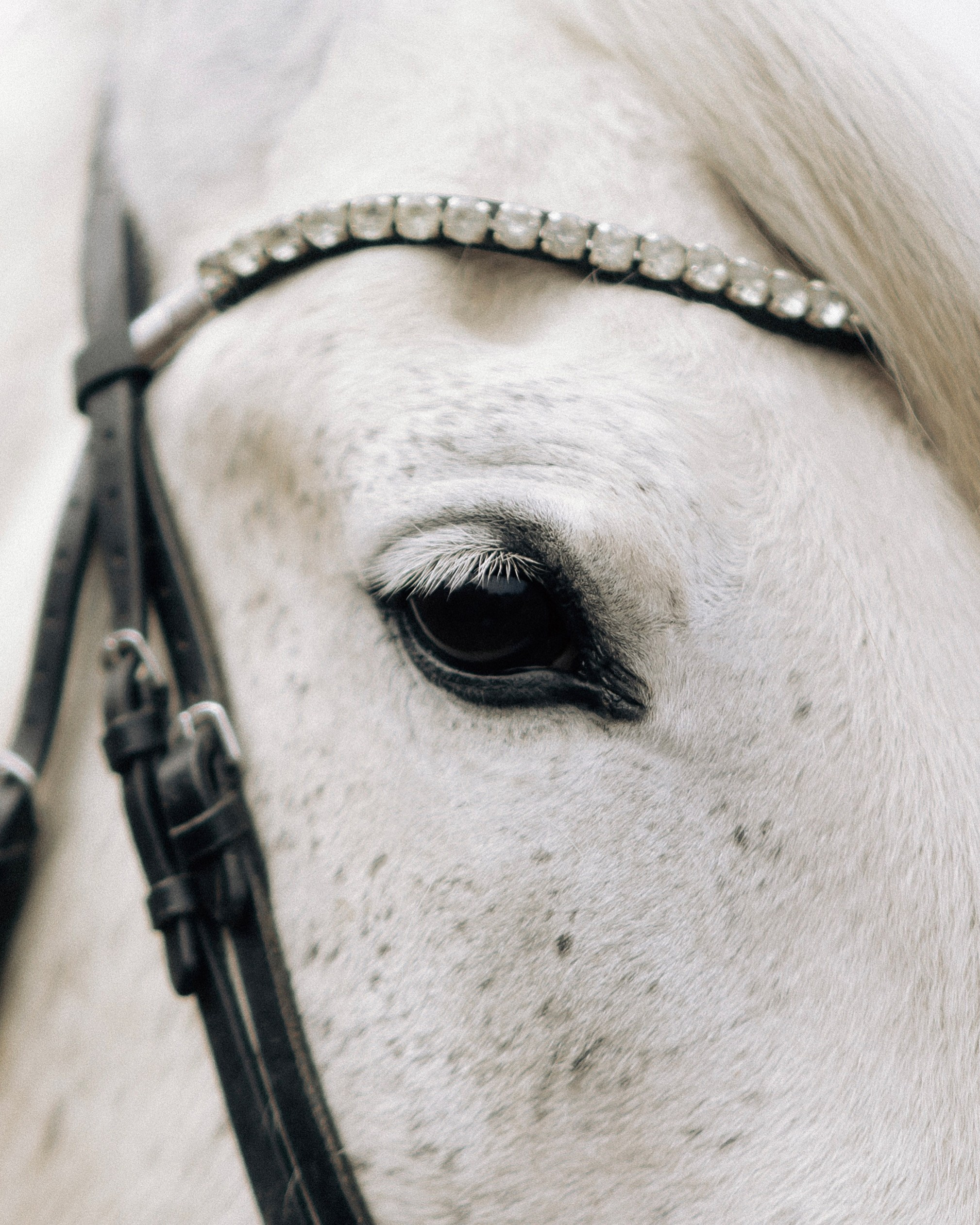 Yulia. Индивидуальная и семейная фотосессия в Чебоксарах Оксана Русакова