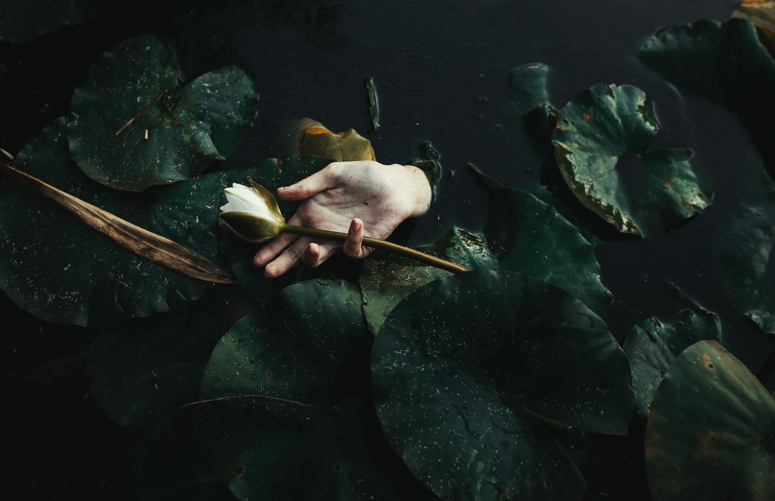 Красота и мода. Свадебный, семейный, детский, fashion, рекламный фотограф в Краснодаре, Москве, Санкт-Петербурге