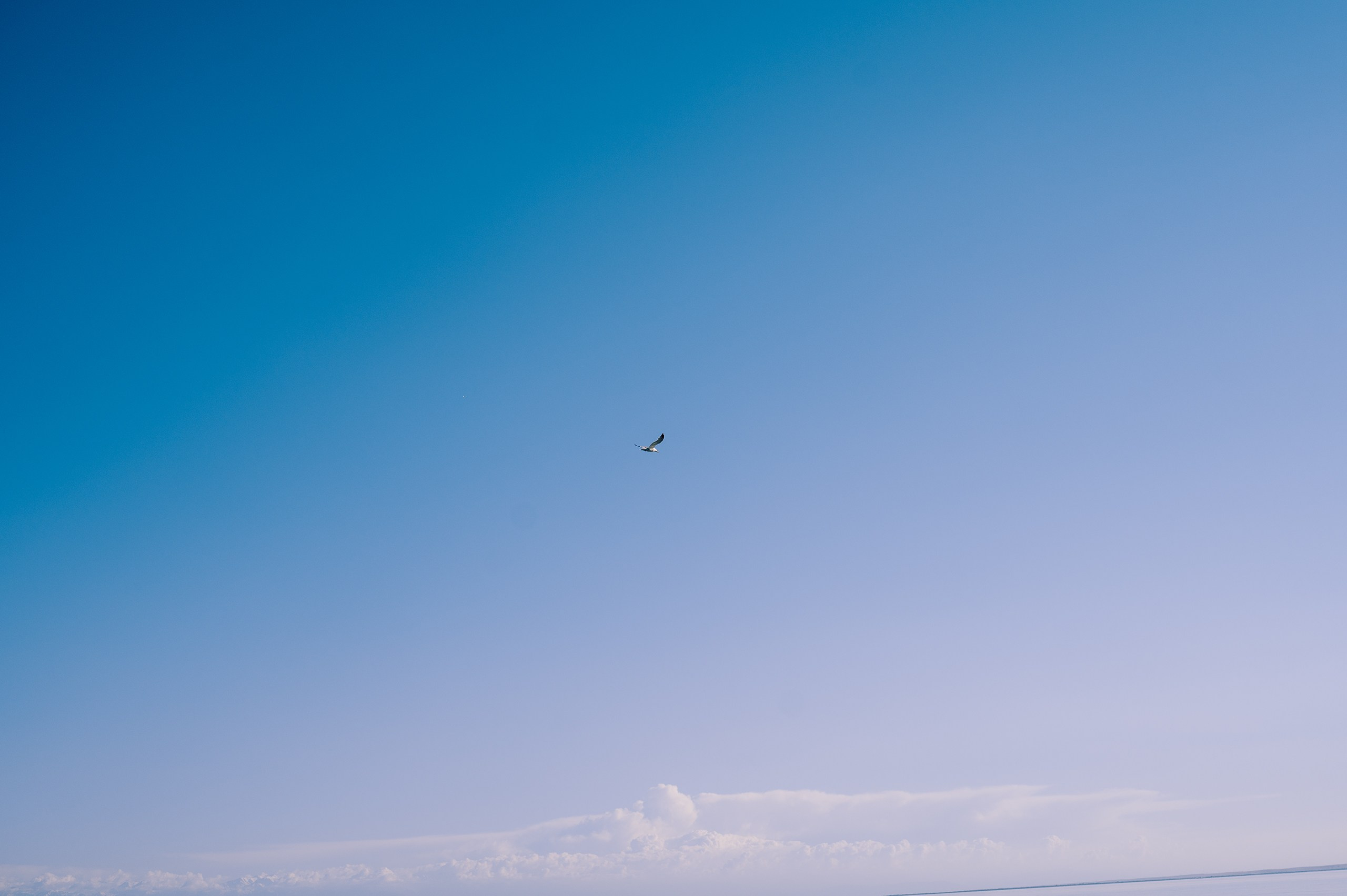 2025 — путешествия на цифру. Фотограф в Алматы — Алексей Коньков | Репортаж, свадьбы, портреты