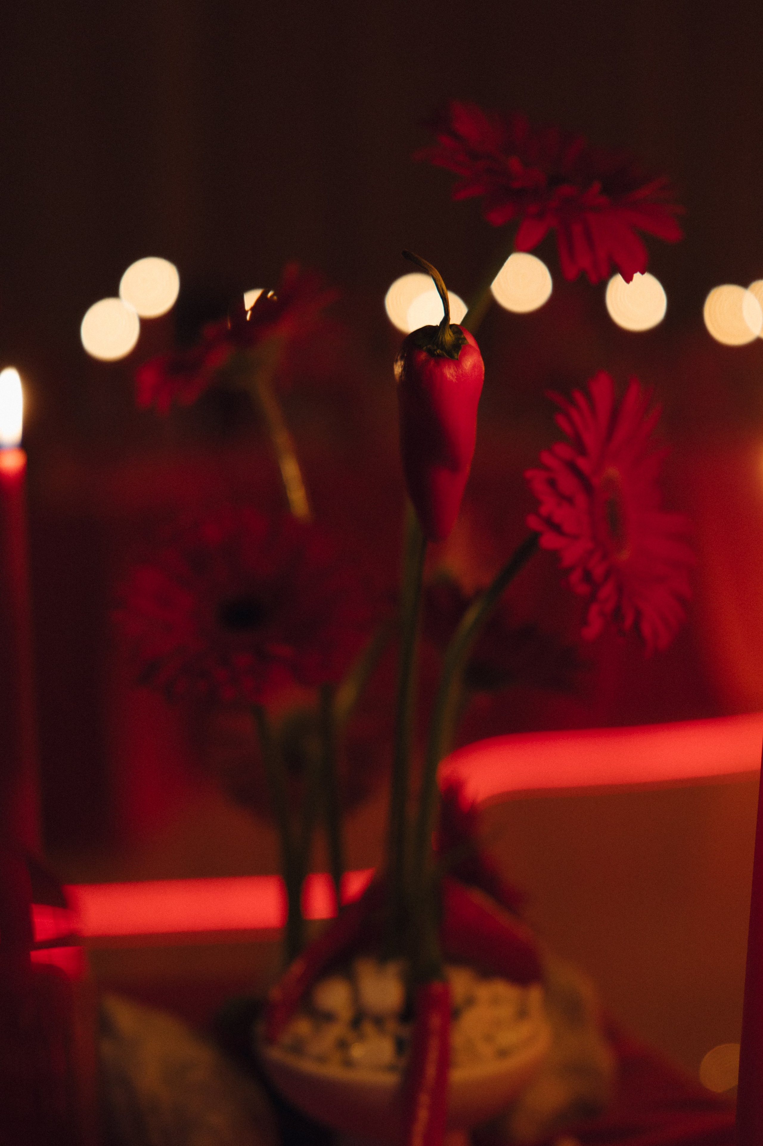 FAHRENHEIT. Свадебный фотограф Марусина Катерина