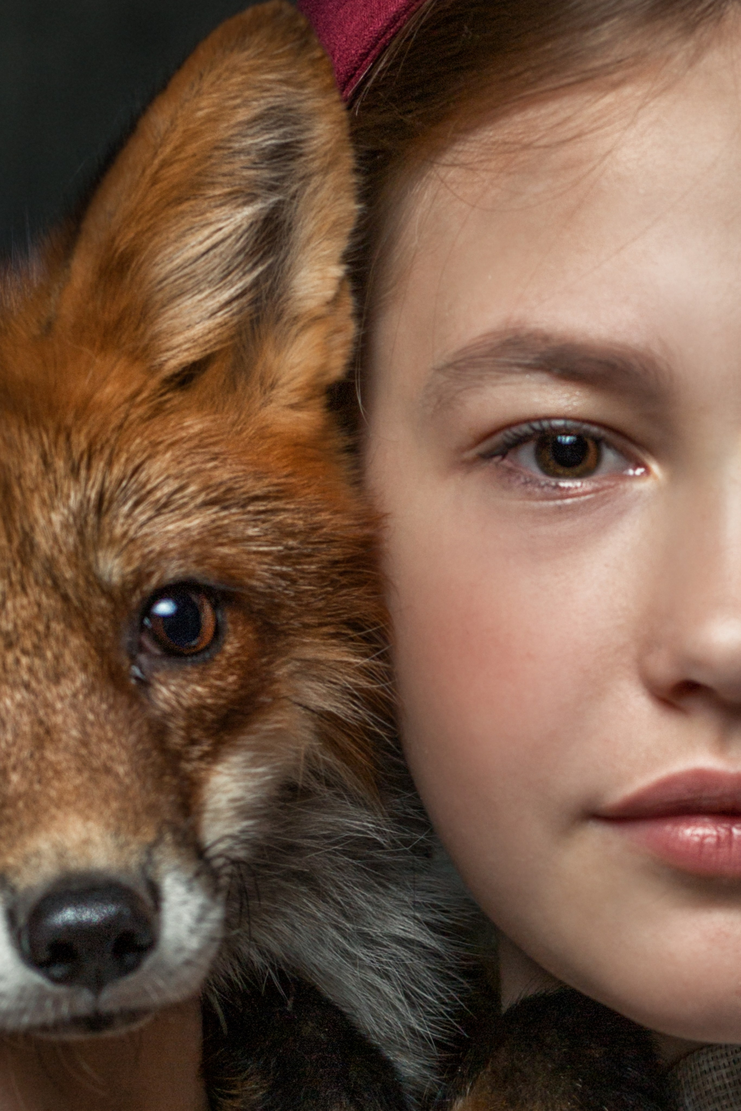 ФОТО С ЛИСАМИ. Главная