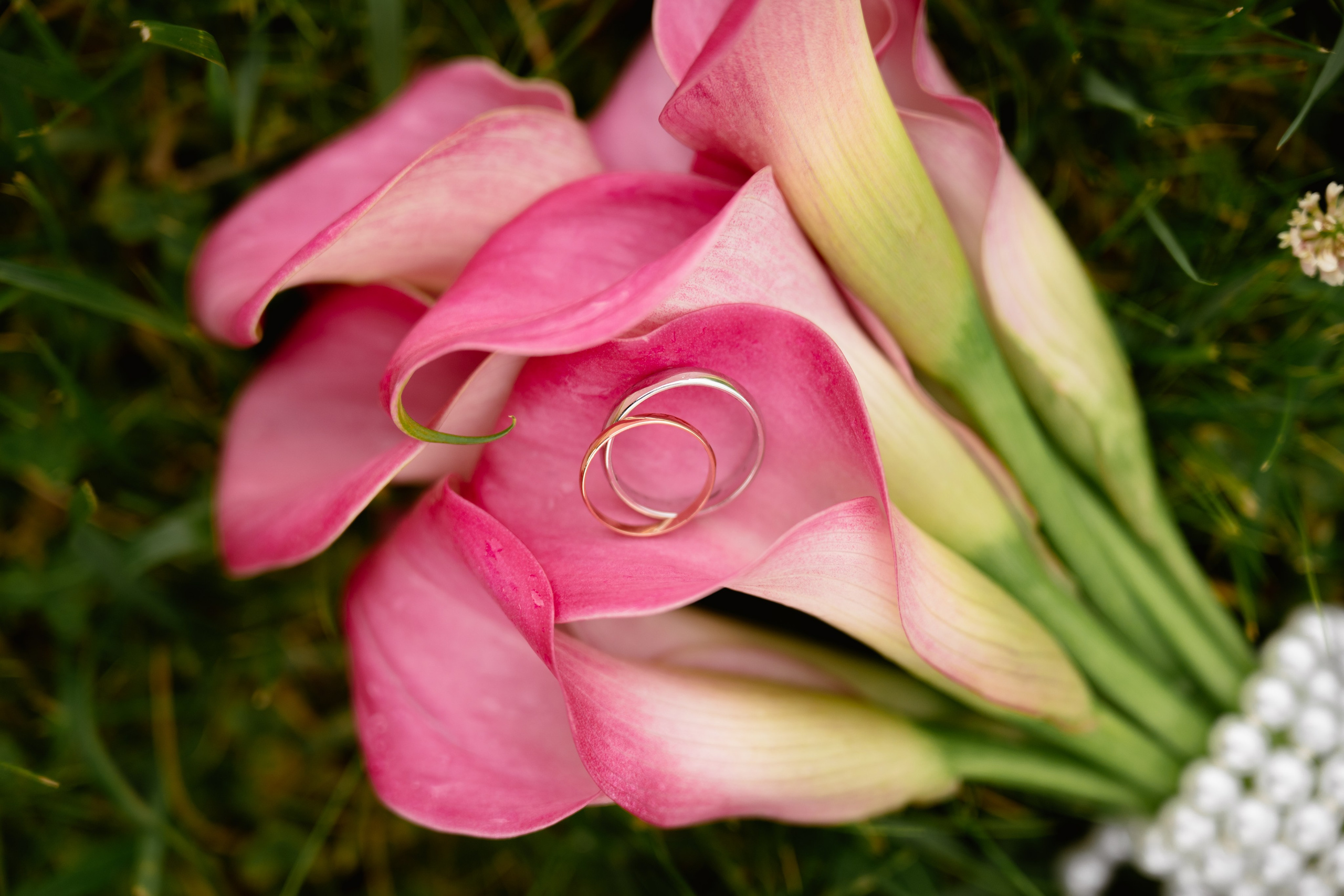 WEDDING DAY 24.07.2026. Свадебный фотограф