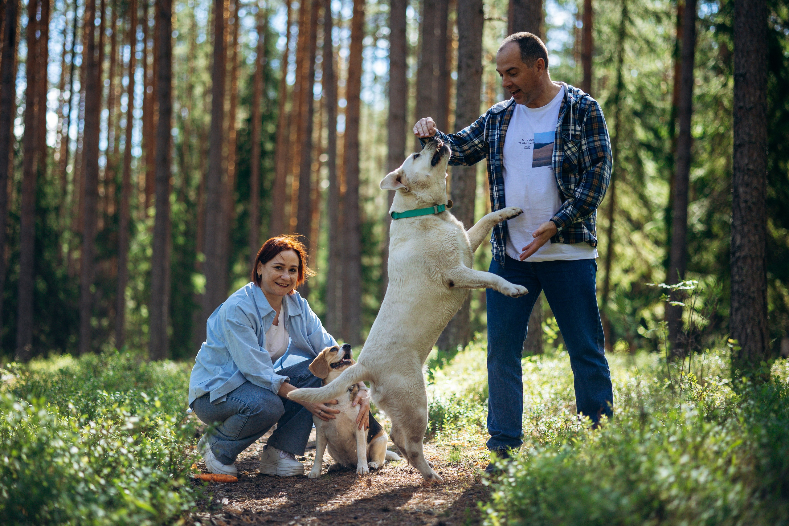 Котофеи и их семья. Фотограф — Анималист | Санкт-Петербург