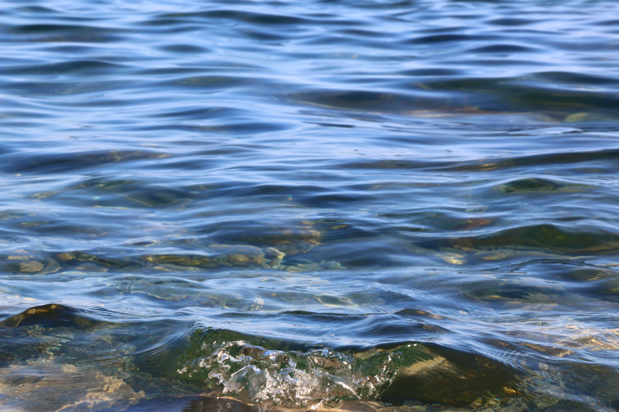 Морские фотосессии. Семейный и детский фотограф в Ялте Ольга Солерина