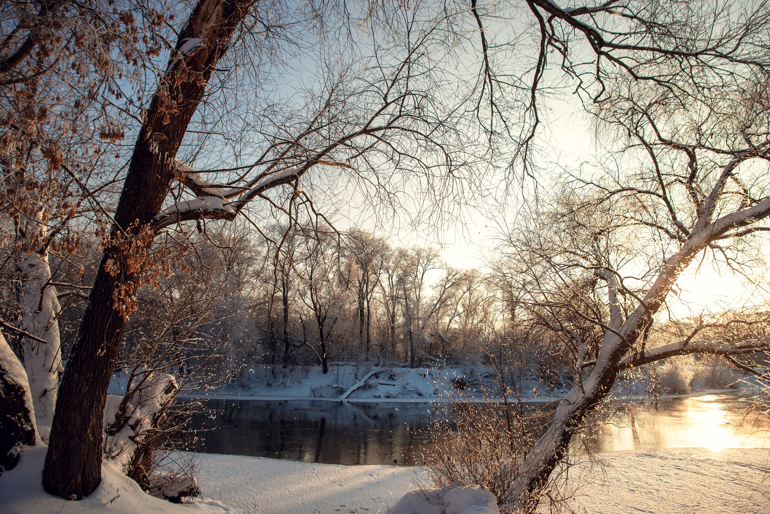 Зимушка зима. Фотограф Крещение Венчание Москва