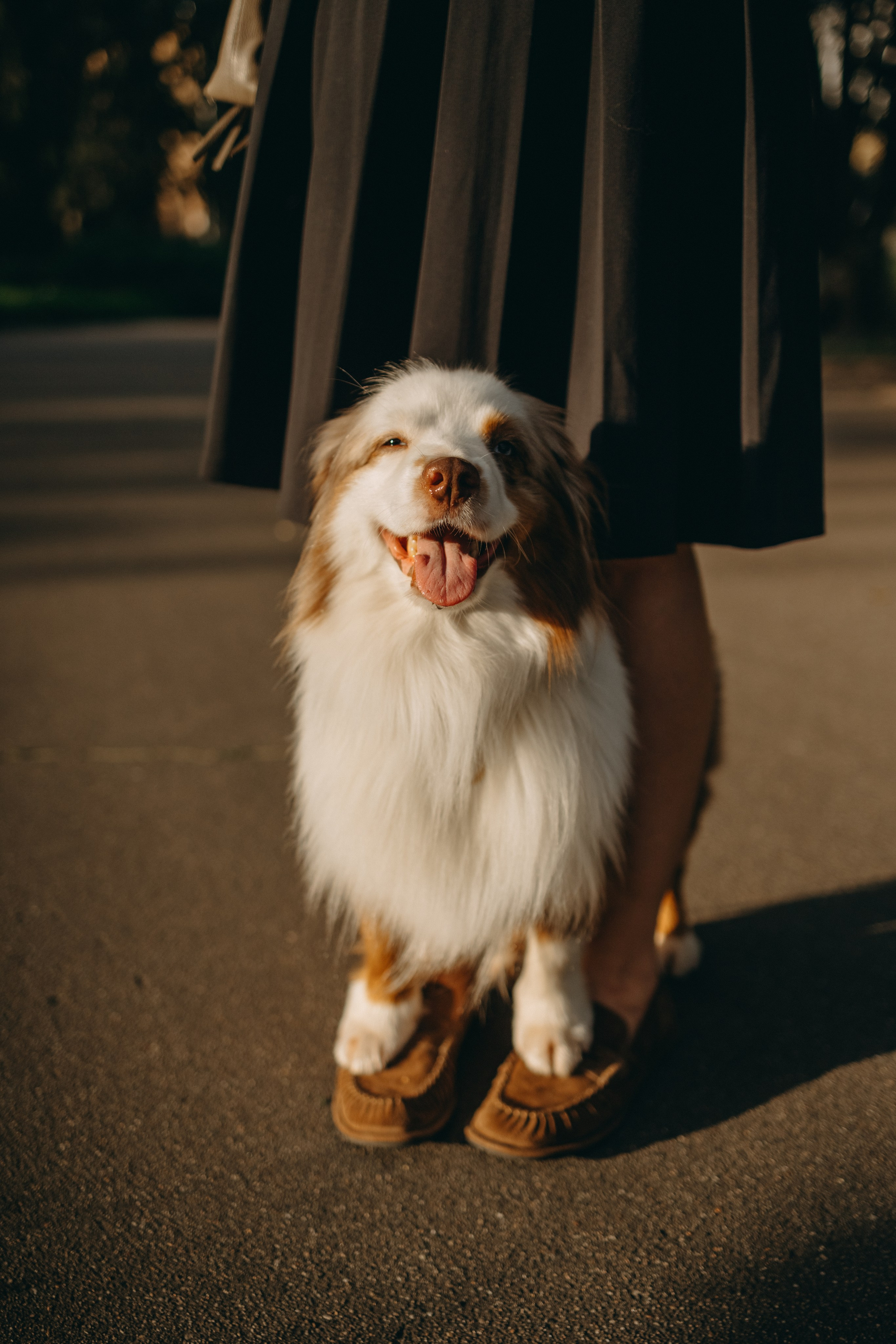 Маша и Эклер. Фотограф — Анималист | Санкт-Петербург