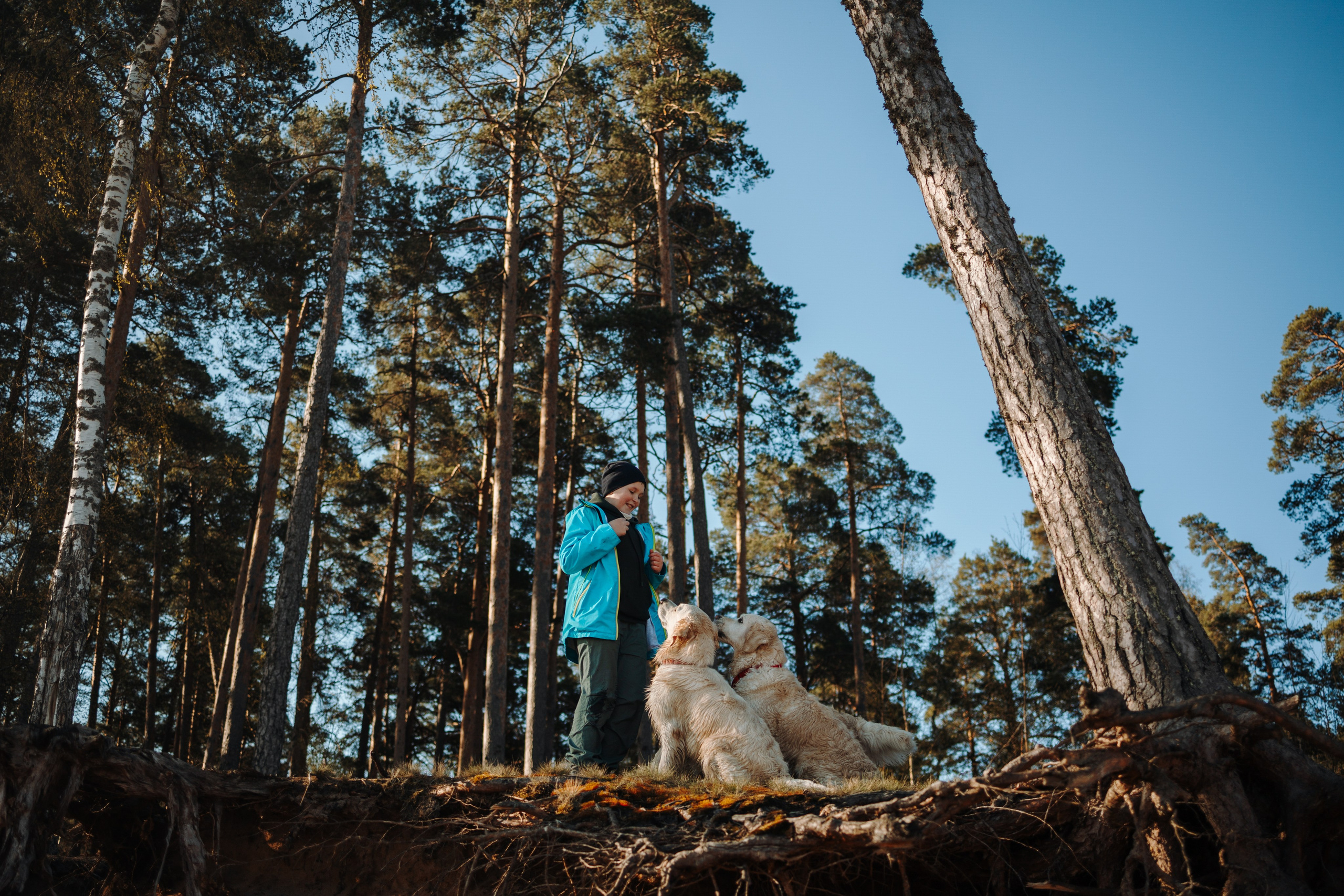 Катя и ее девочки. Фотограф — Анималист | Санкт-Петербург