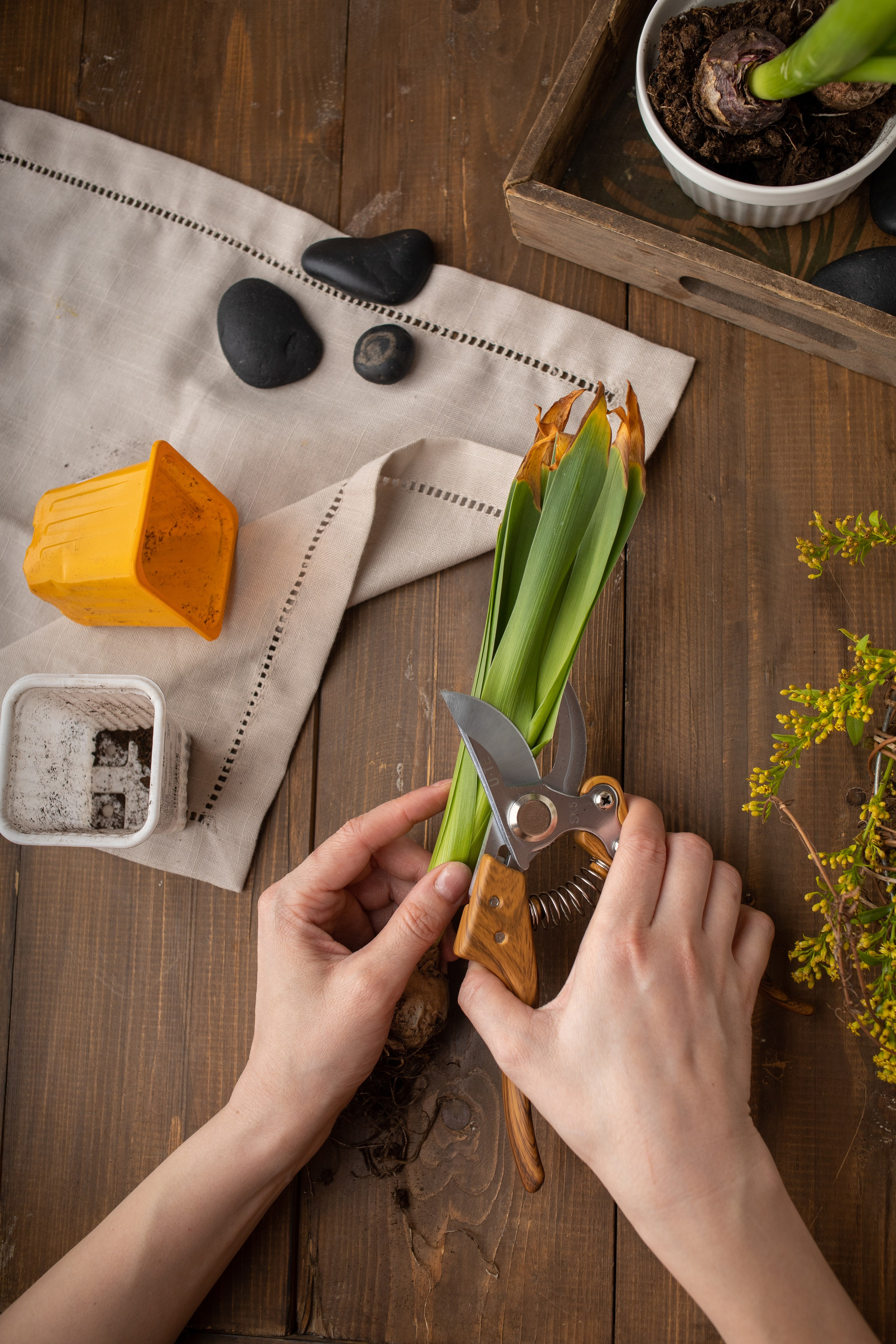 Секатор «RORAEGORA». Предметный & фудфотограф Рязань