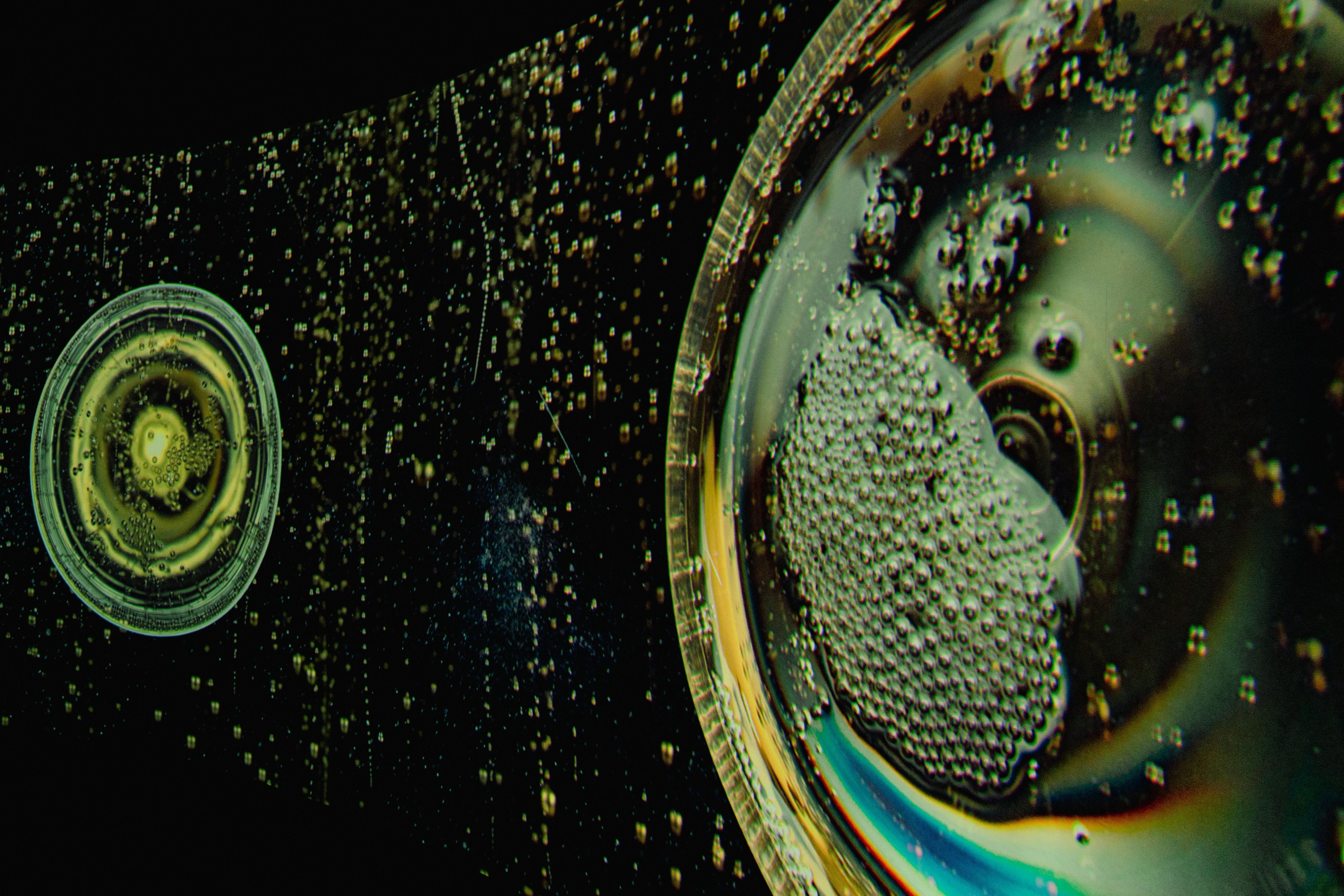 Champagne 2025. Фотограф в Крыму Алевтина Швец