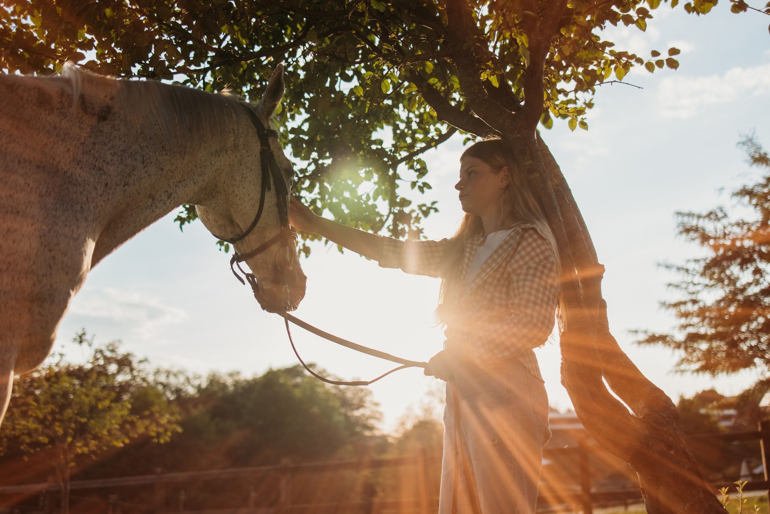 Ферма Экзархо. Фотограф Сочи Татьяна Зорина