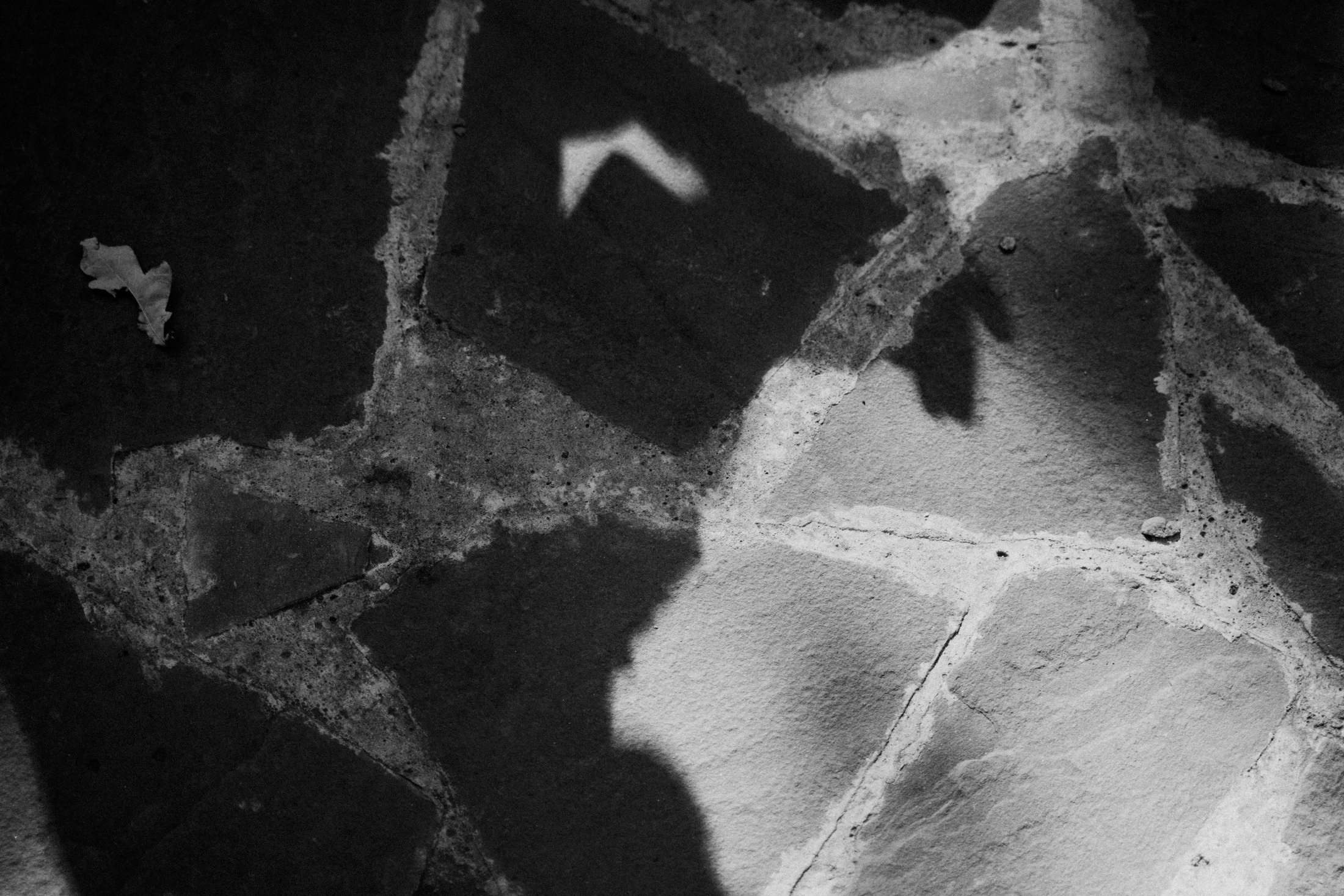 Лена и Саша. Свадебный фотограф в Саратове Антон Слепов