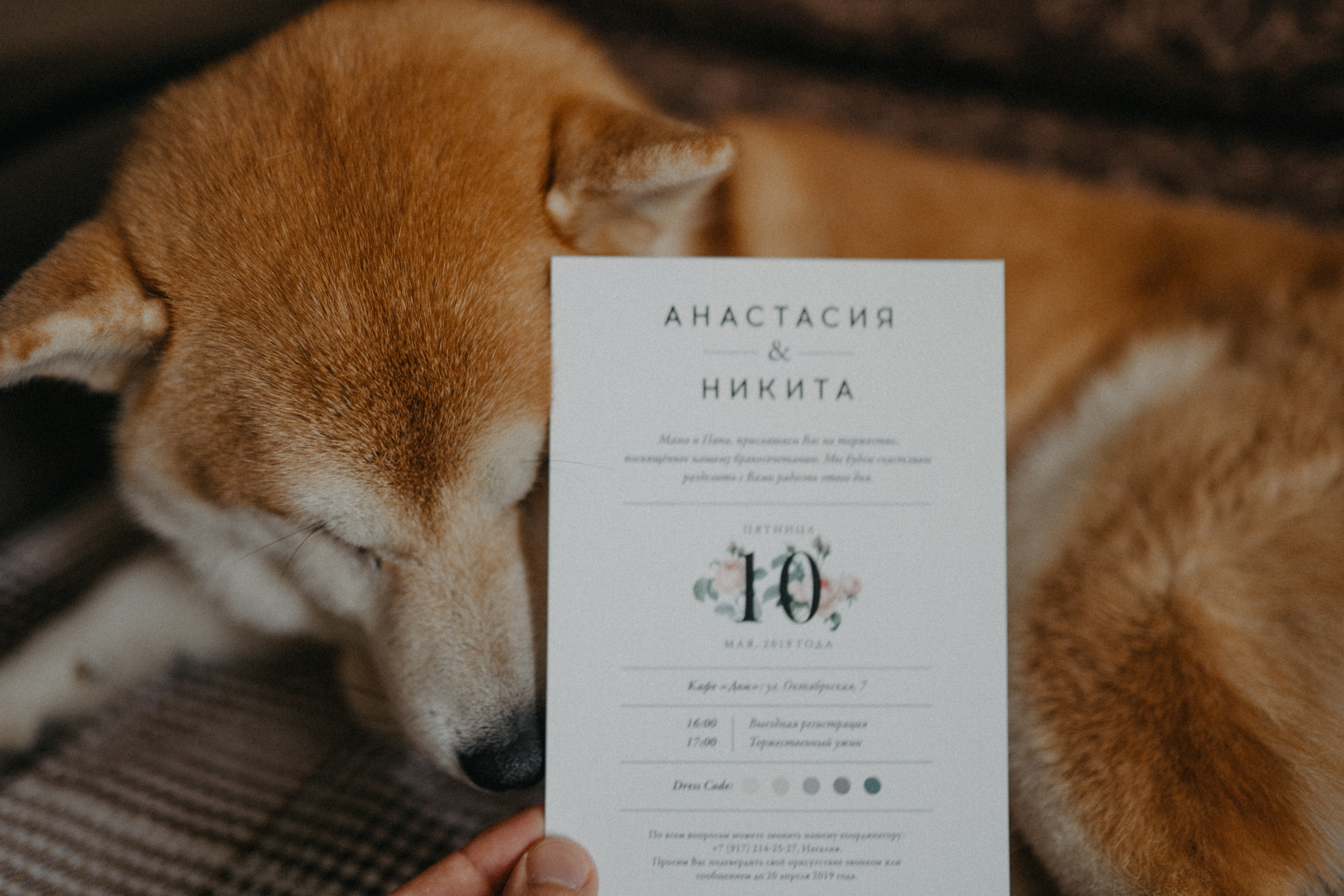 Никита и Настя. Свадебный фотограф в Саратове Антон Слепов