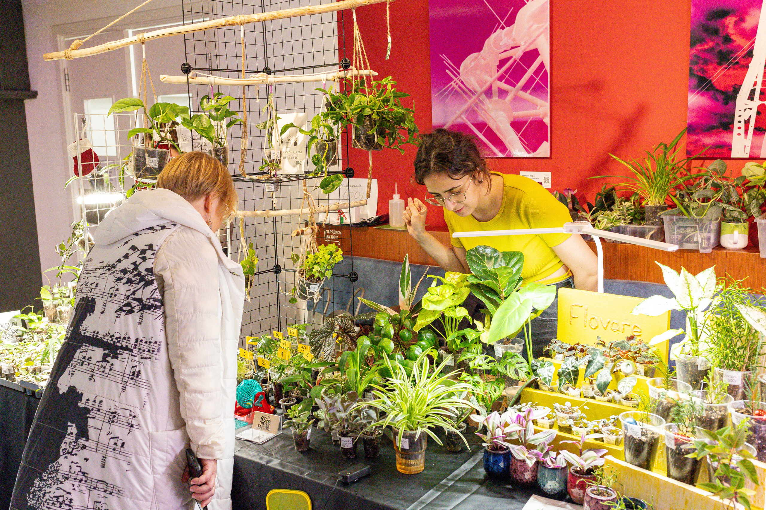 Growbox декабрь 2025. Александра Куликова фотограф, Москва