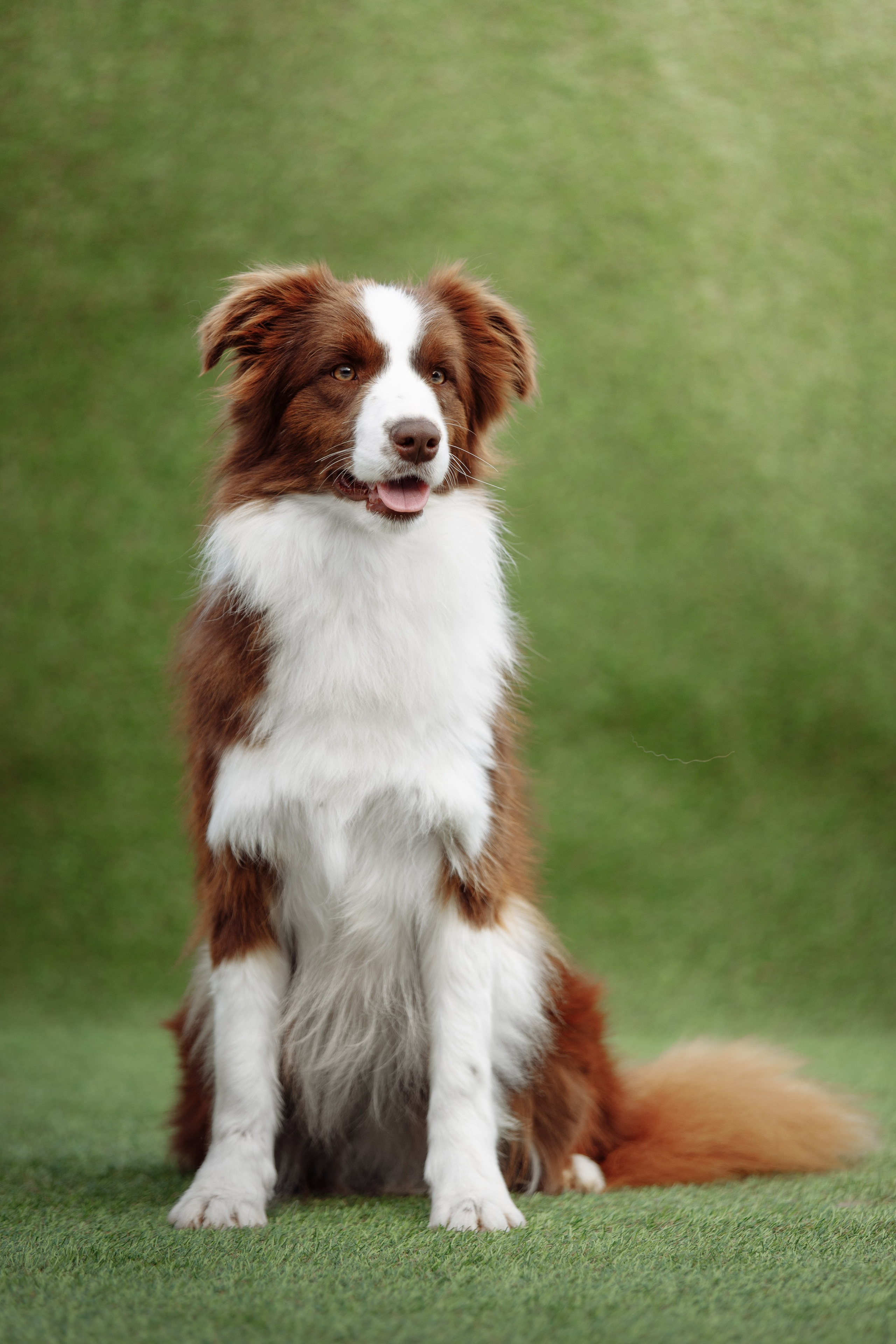 Свое место. О нас