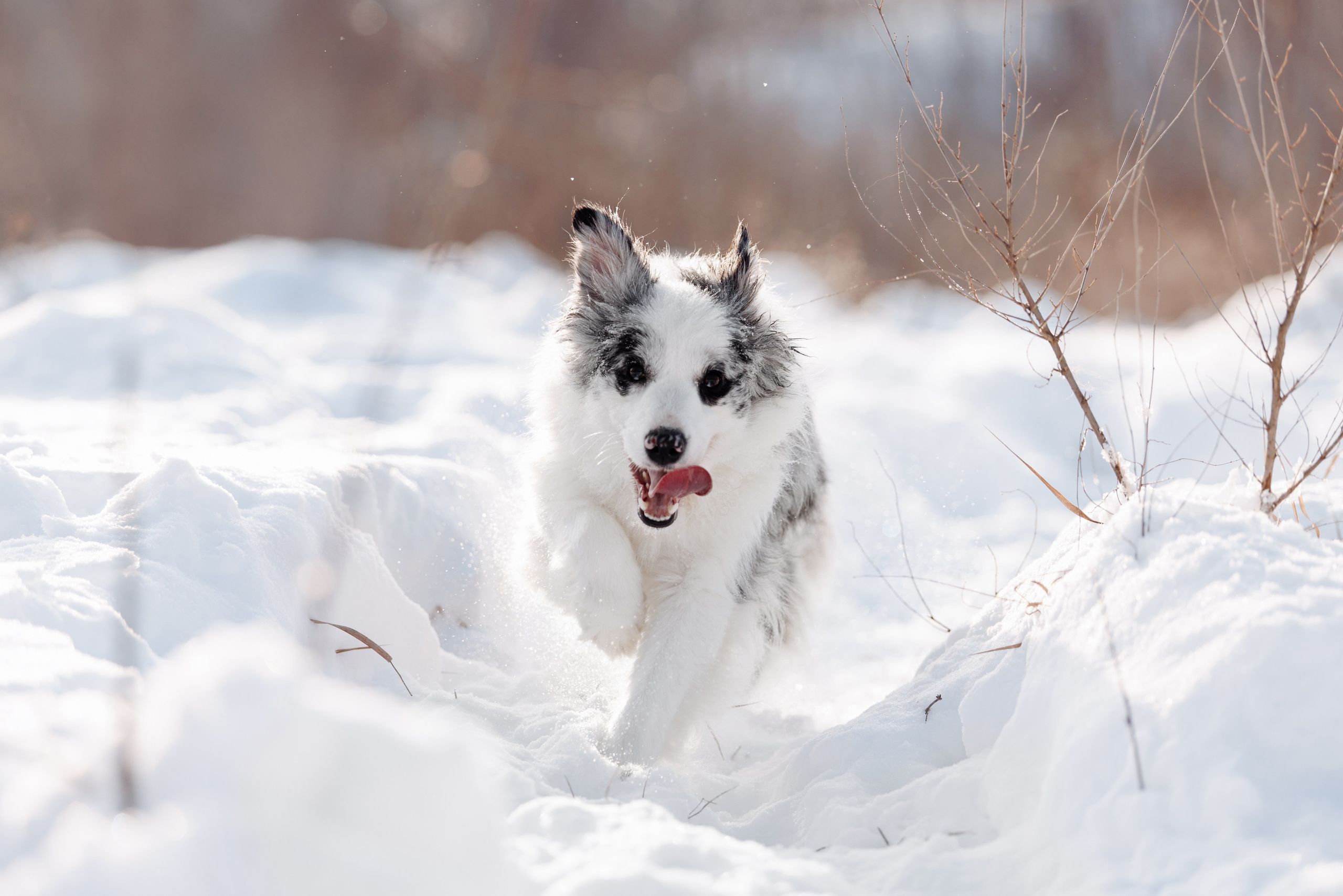 Яркий январь. О нас