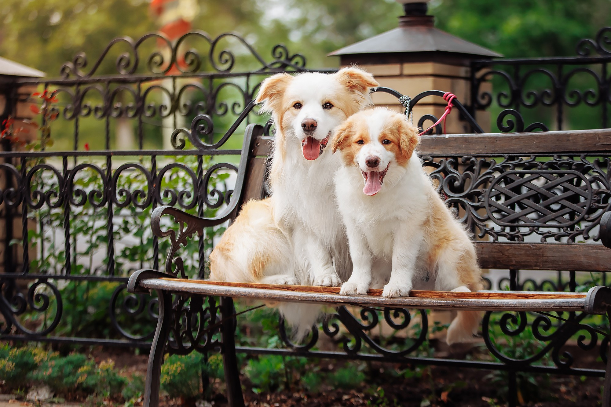 Краски 23. О нас