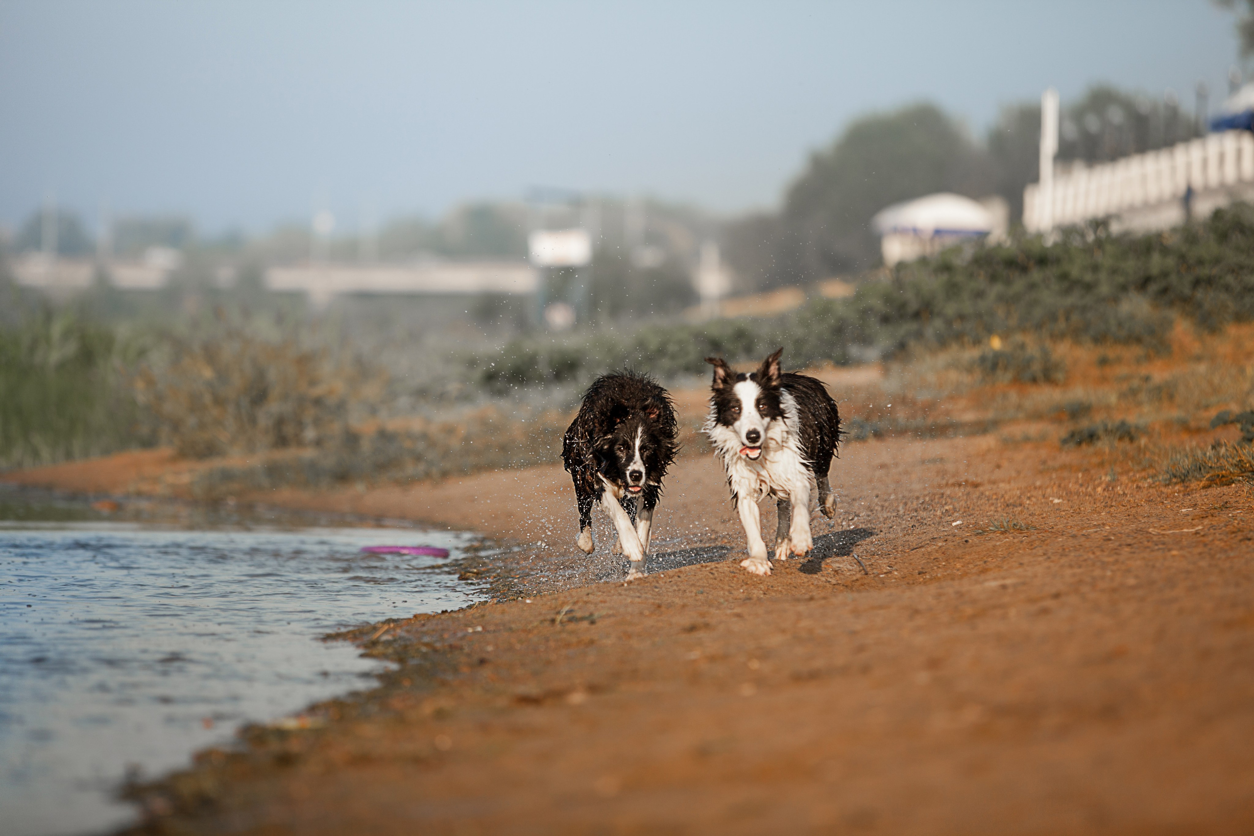 Сочный рассвет, на который решились. О нас