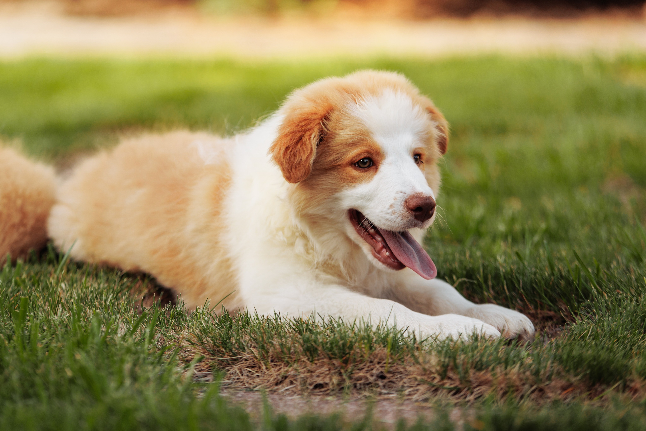 СОлнечные. О нас