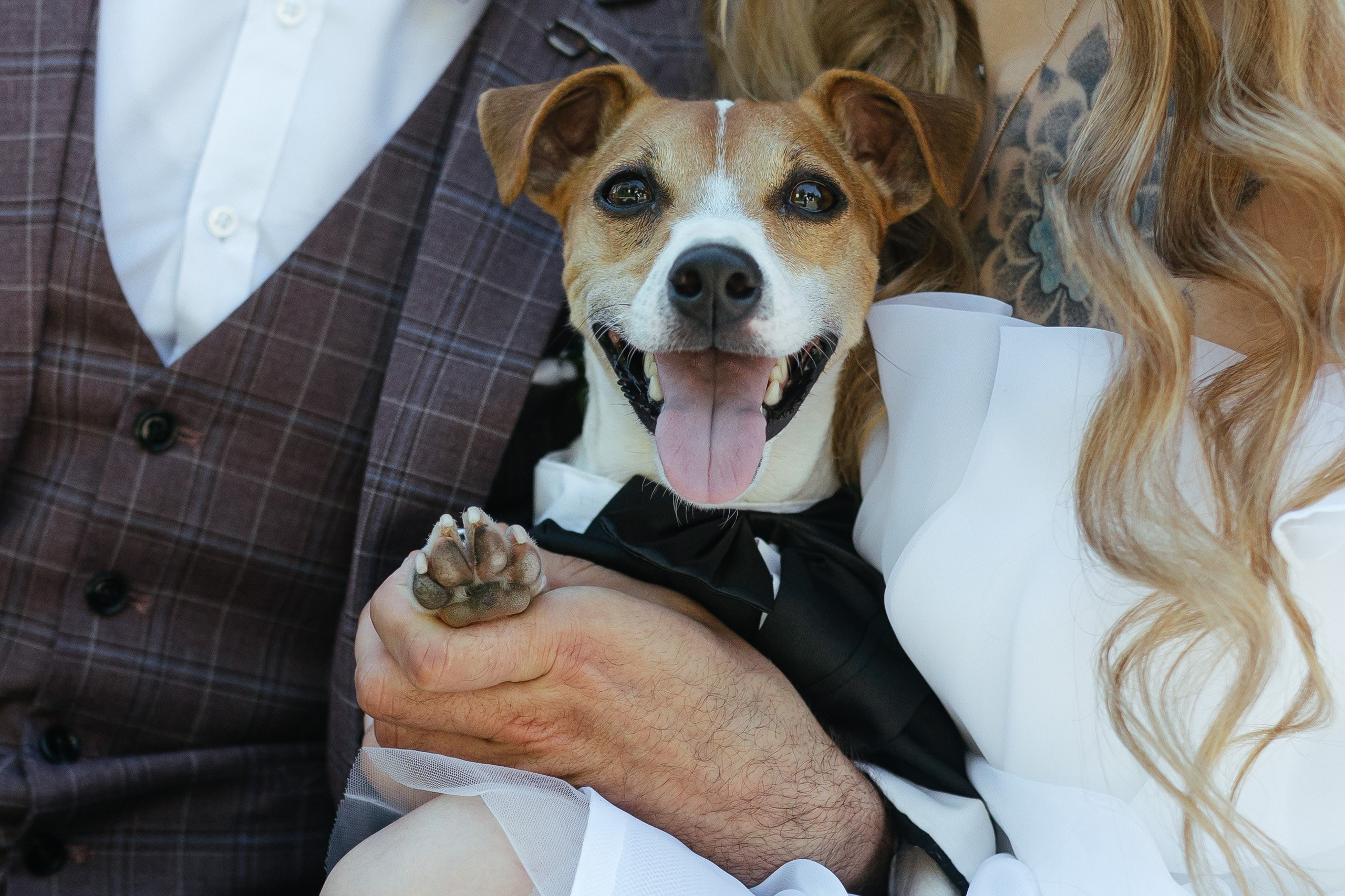 Алексей и Кристина. Свадебный фотограф Калуга Москва Диана Румянцева