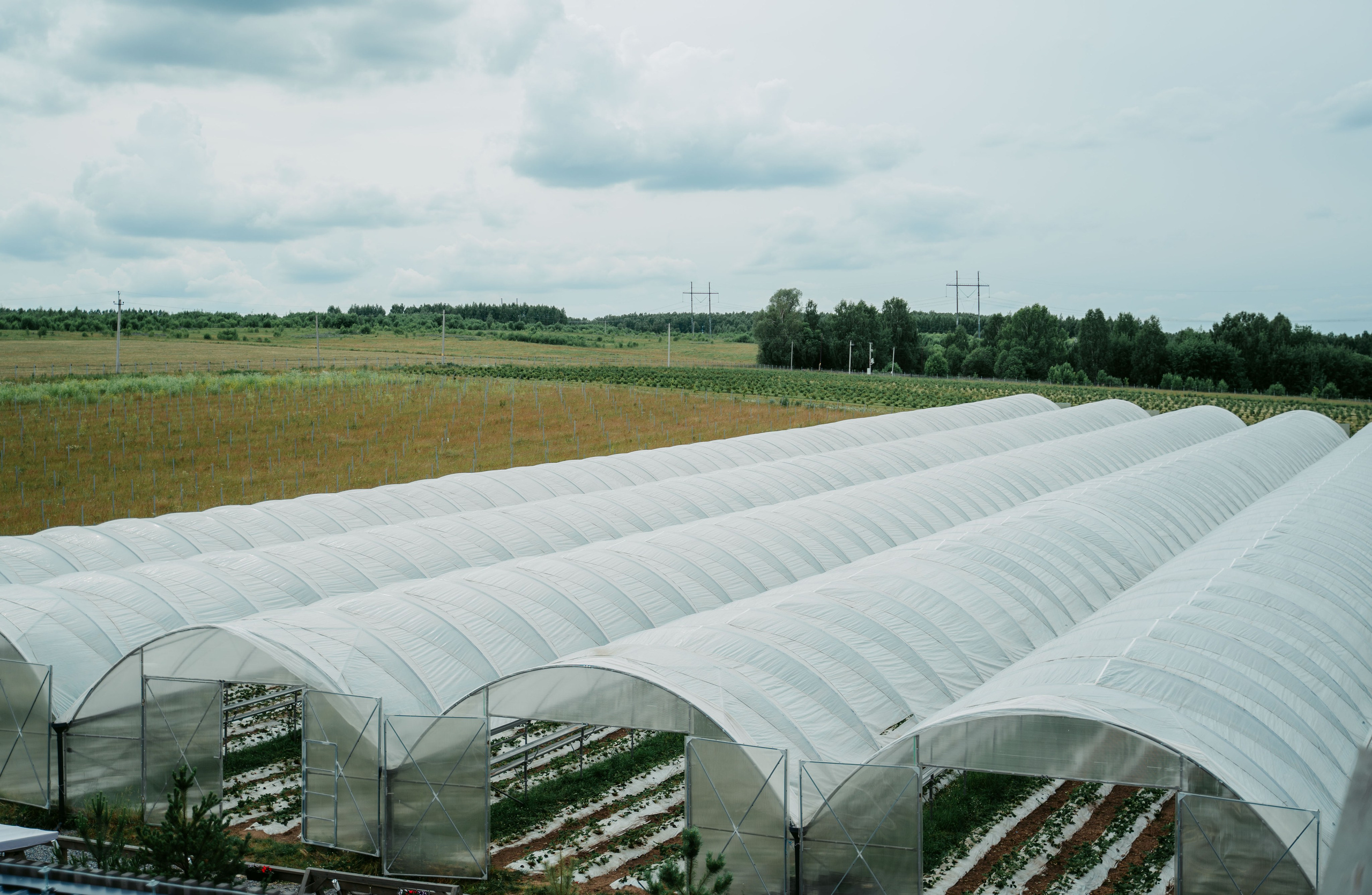 Гектария. Встреча лидеров мнений / 2023. Саша Копылов, фотограф в Казани