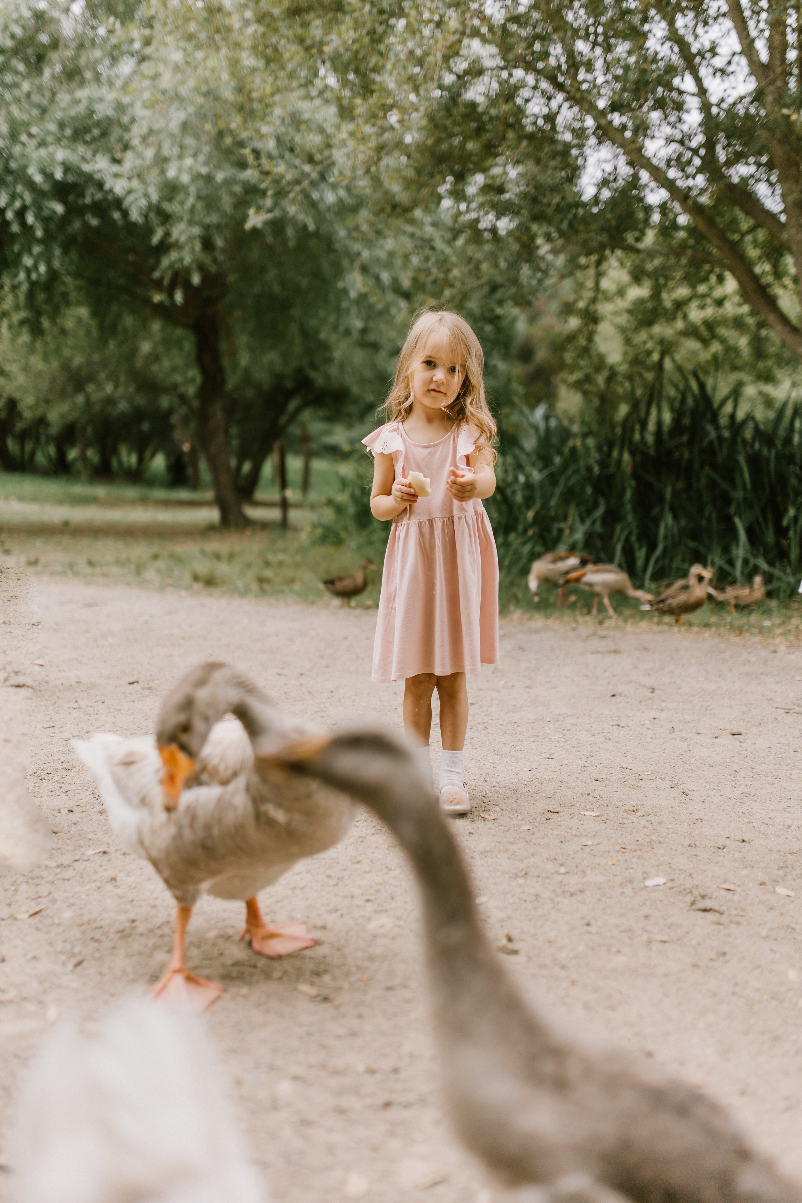 Juli. Wedding and family photographer OLGA KILVEIN