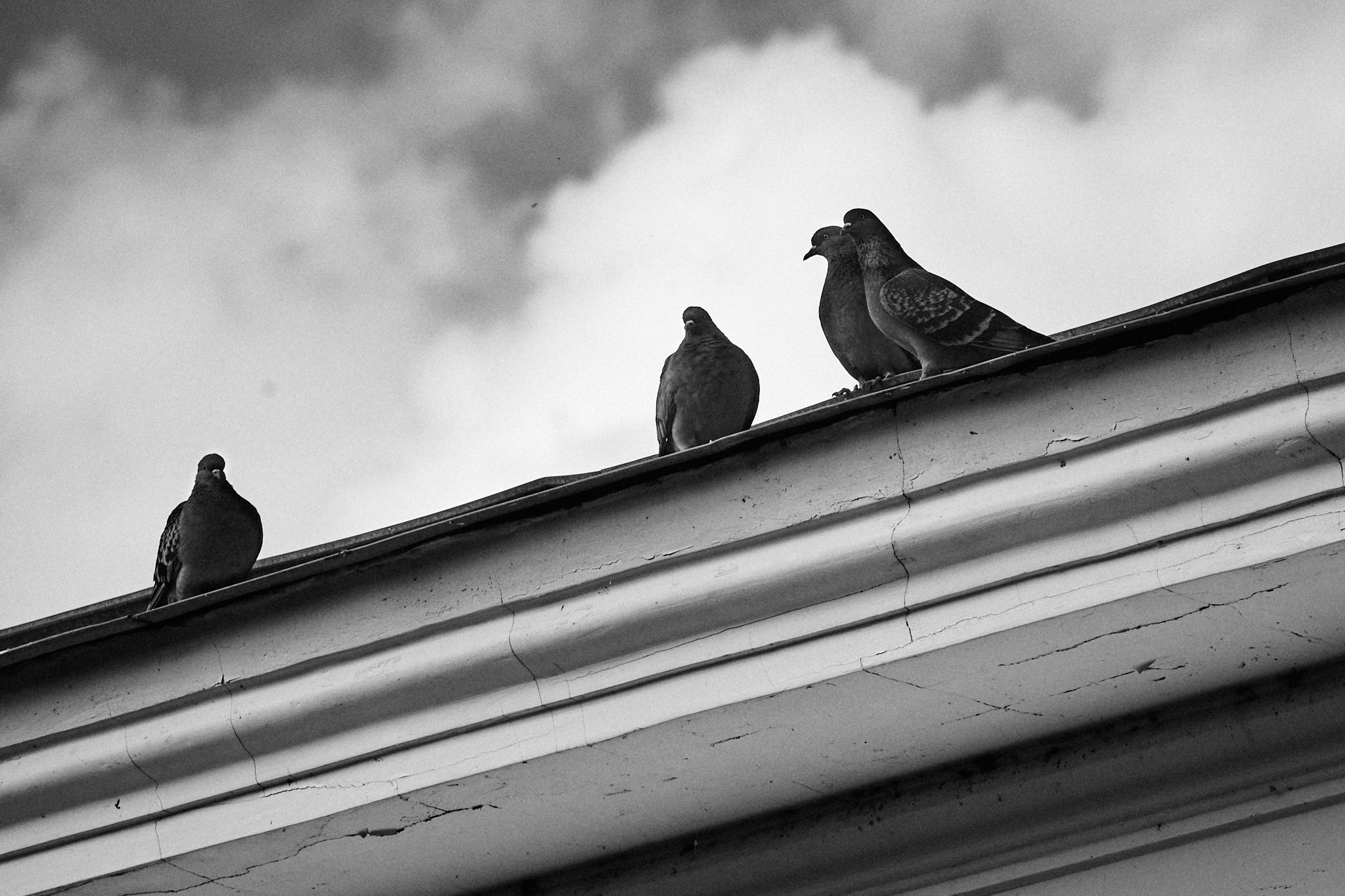 Стрит / Архитектура / Путешествия. Портретный, интерьерный и фуд фотограф в Перми Иван Вострецов