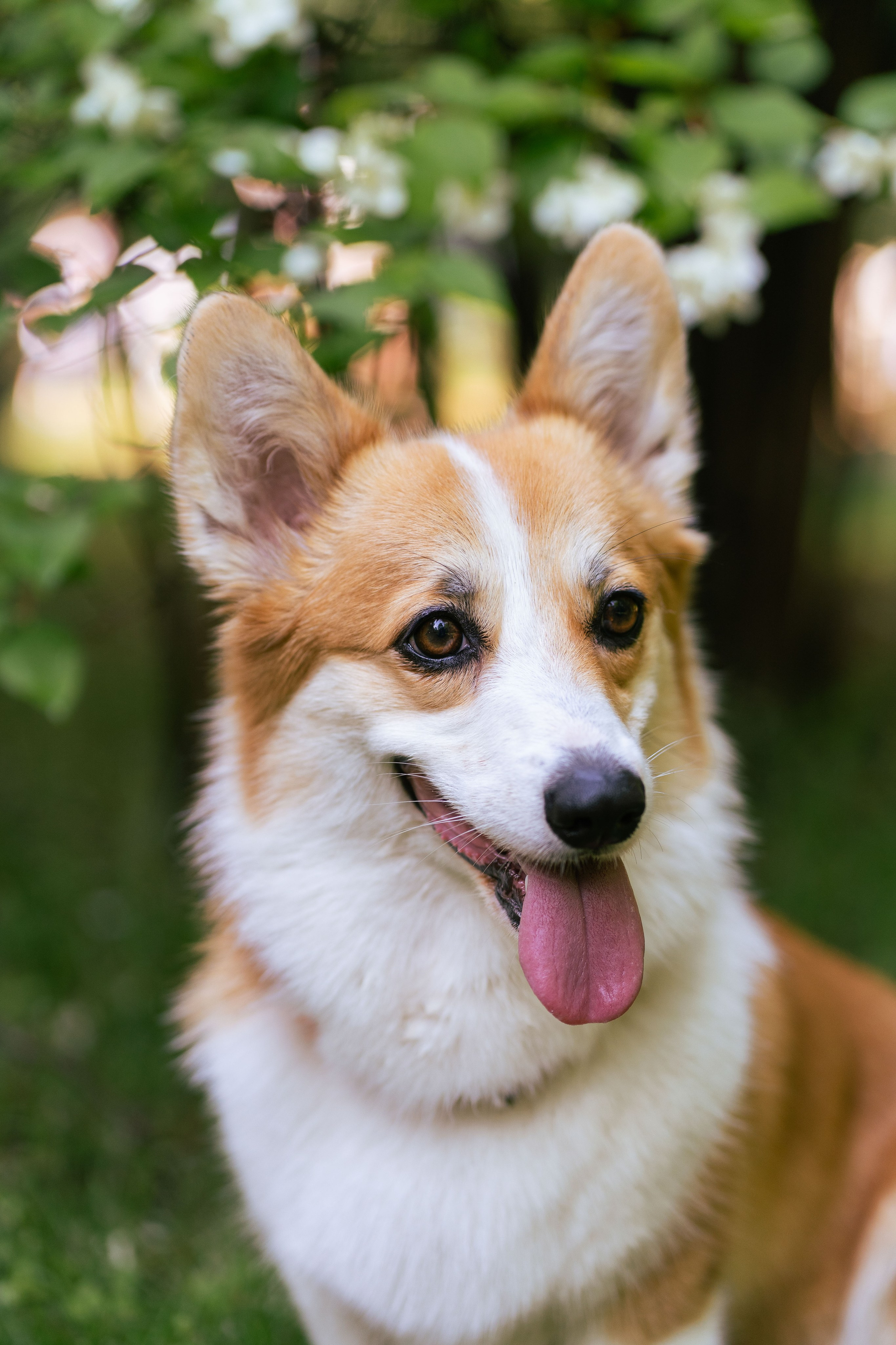 Ольга и коржики. Свадебный фотограф в Москве Анна Полушина