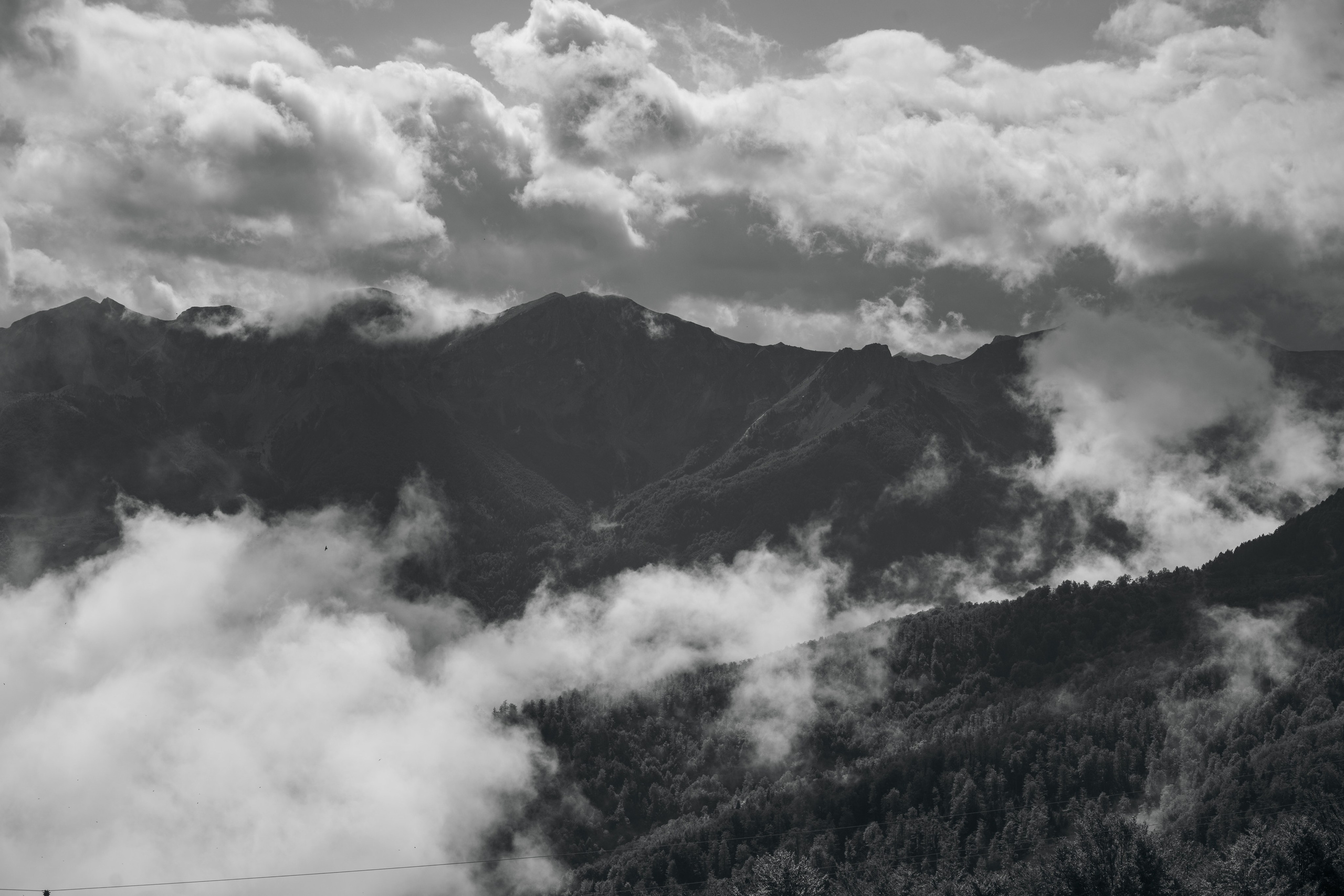 ГОРЫ КОМОВИ. ЧЕРНОГОРИЯ. Фотограф в Белграде Чугреева Елена