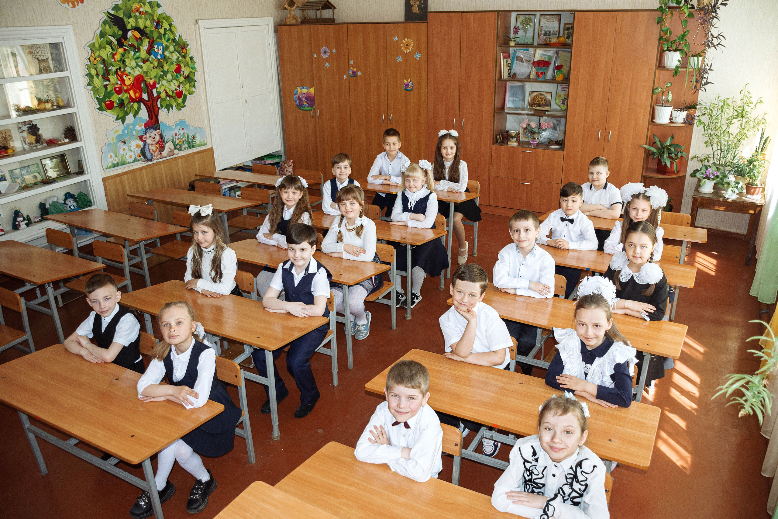 Школа № 41. 1 класс. Фотограф Донецк. Горловка. ДНР. Севастополь