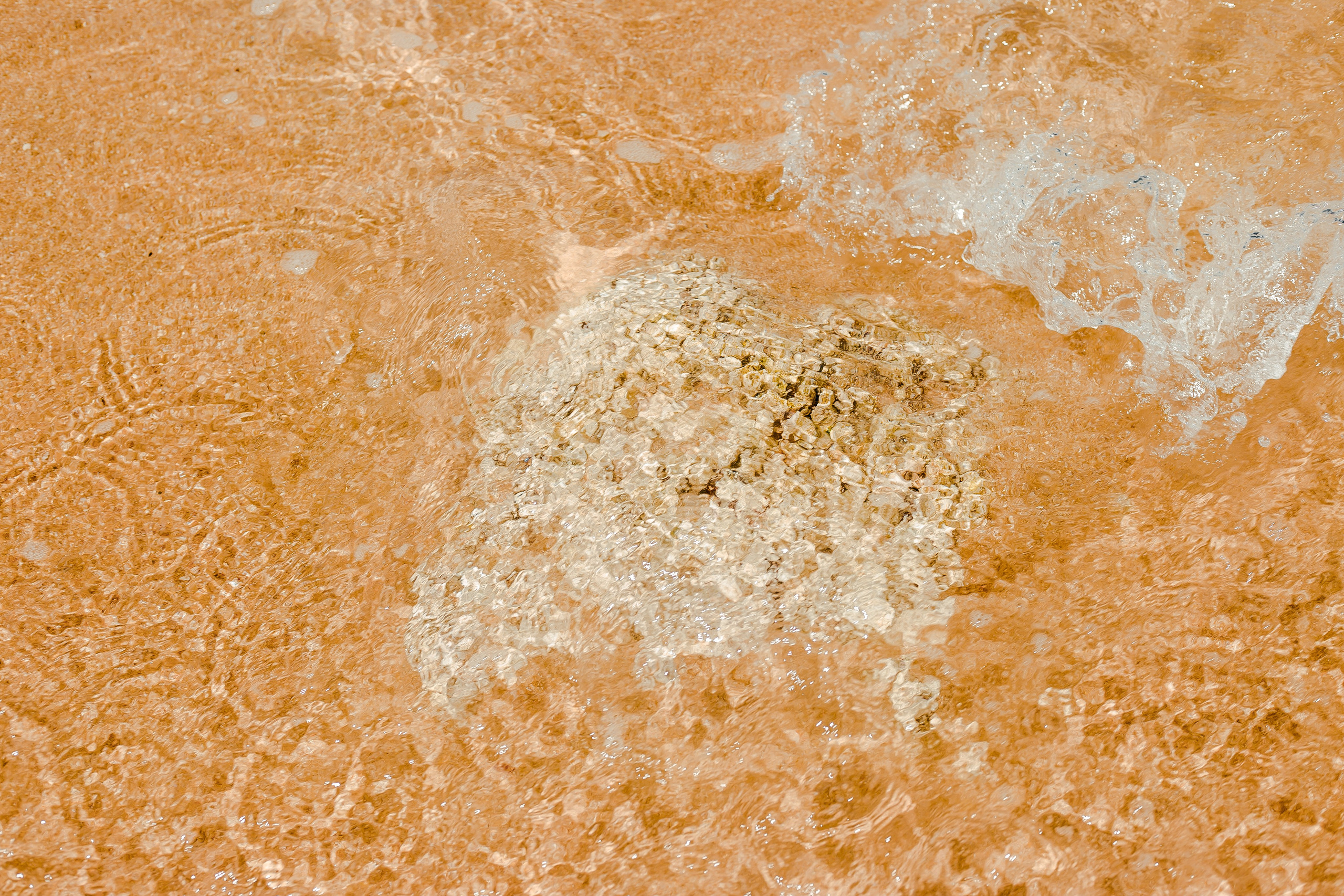 Sri Lanka. Art Photographer