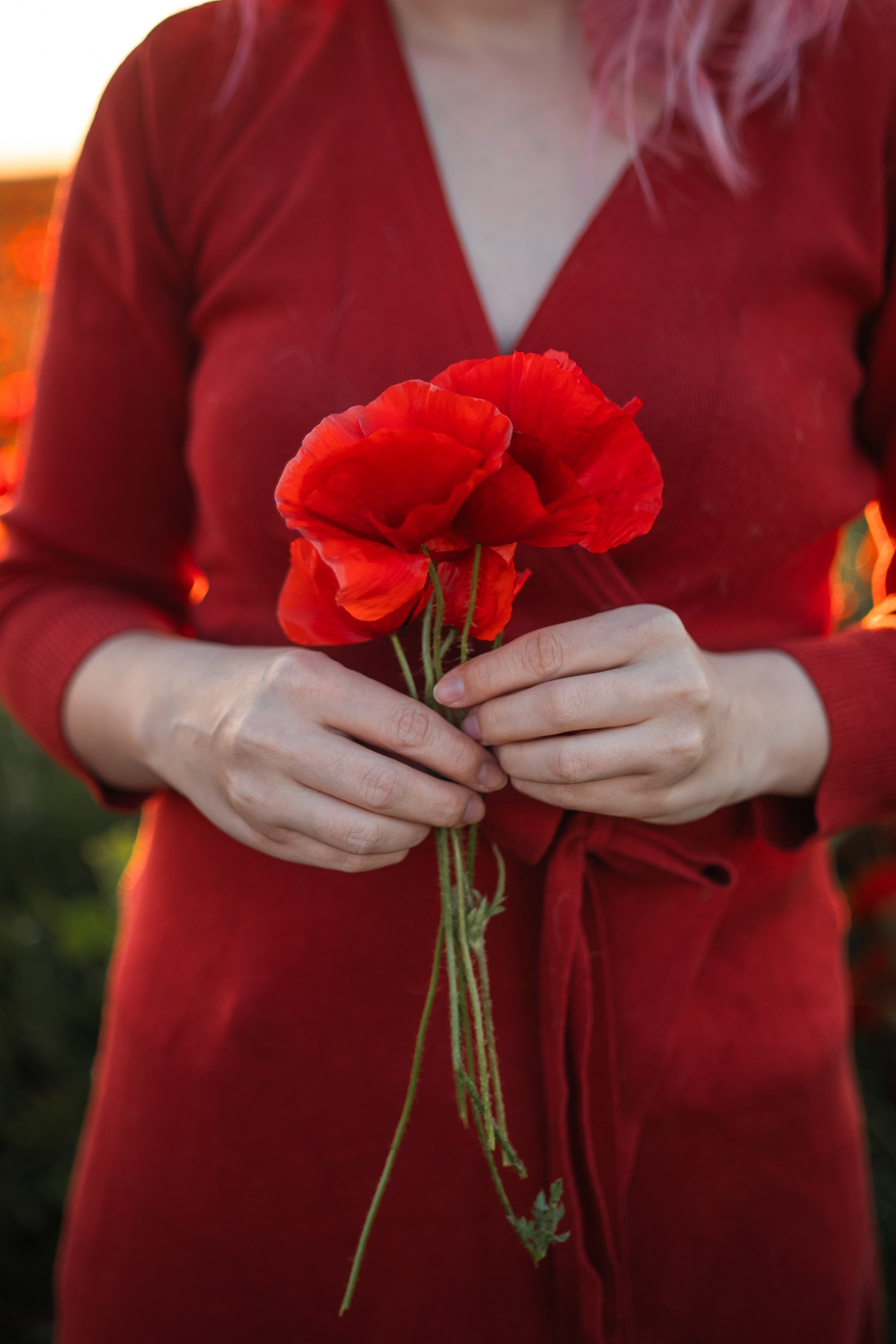 Маковое поле. Фотограф анималист