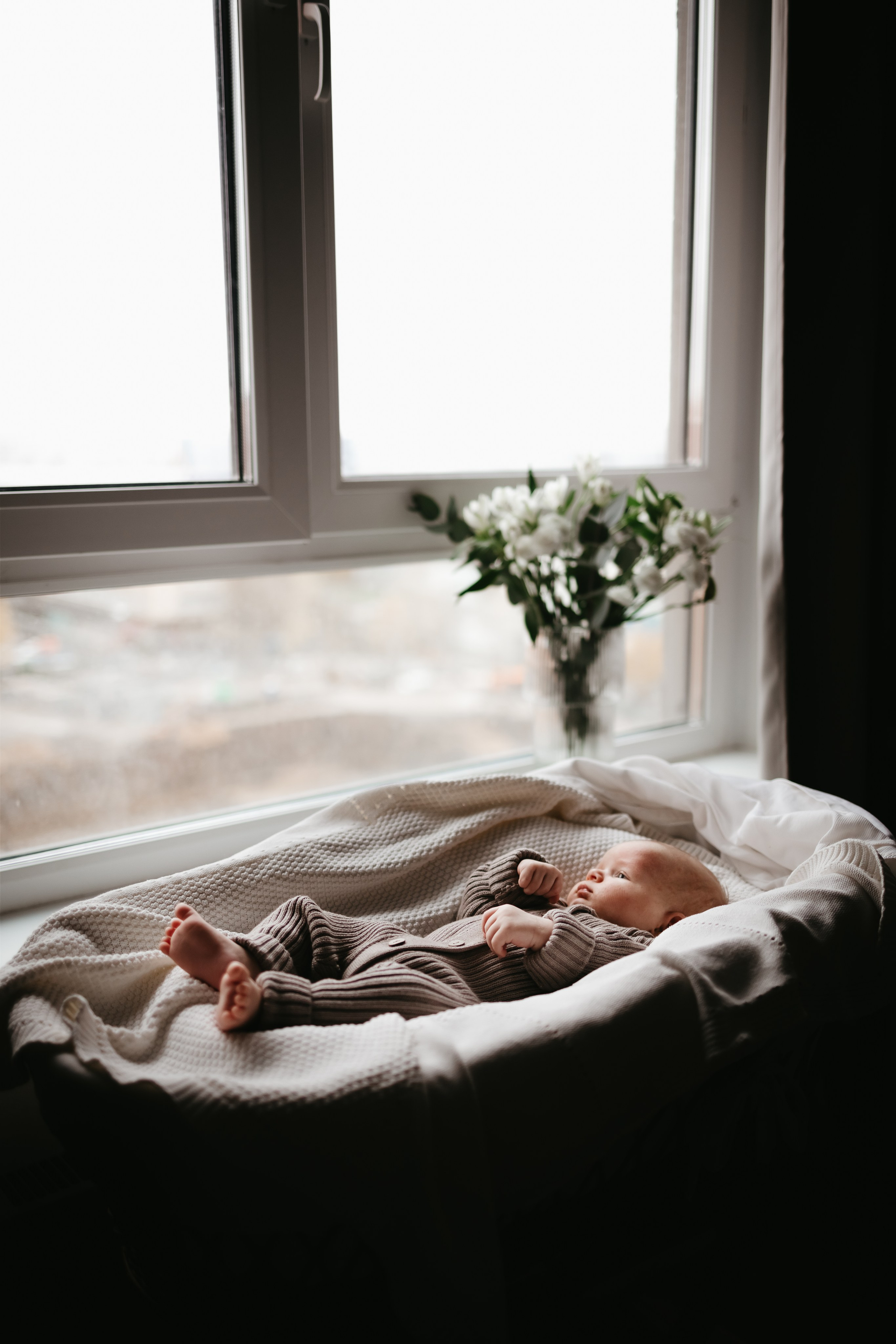 Лёва 2 месяца. Евгения Пелипас