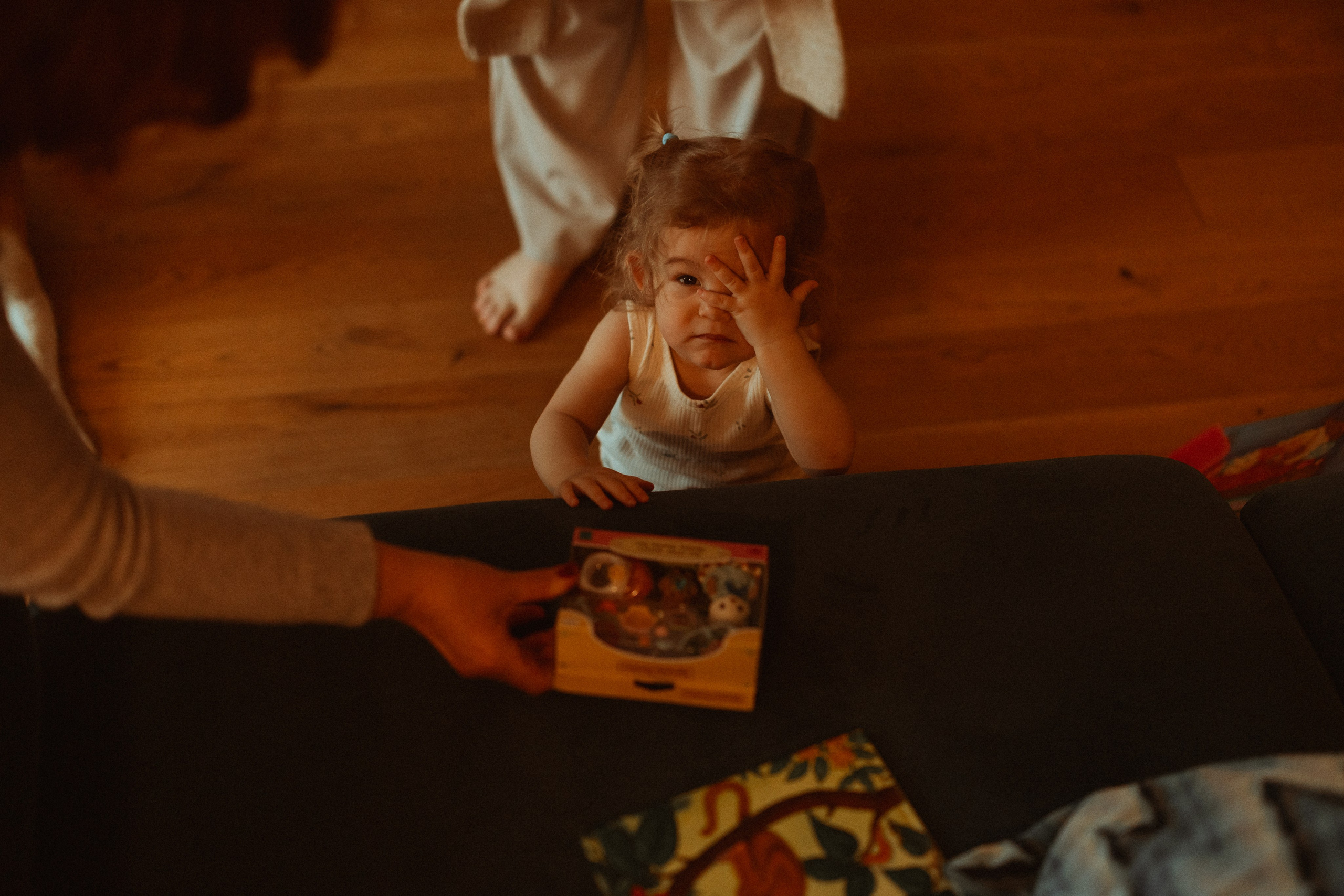 Новогодний переполох. Евгения Пелипас