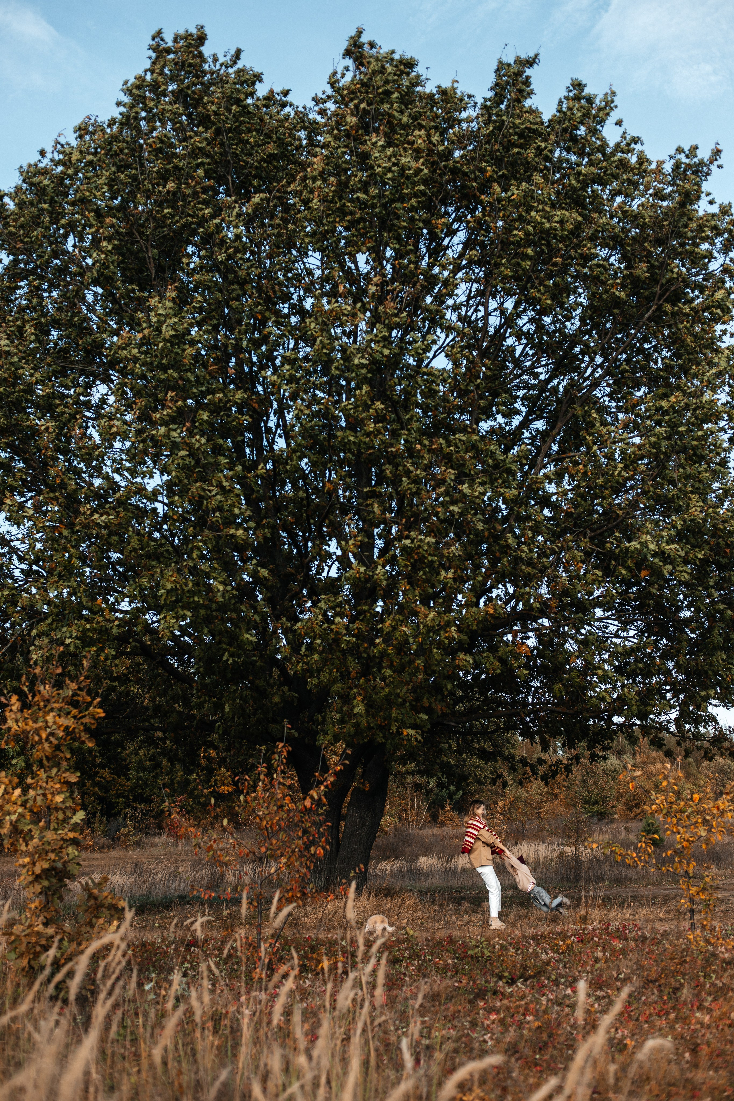 Услуги и стоимость. Семейный фотограф в Нижнем Новгороде Куренкова Юлия