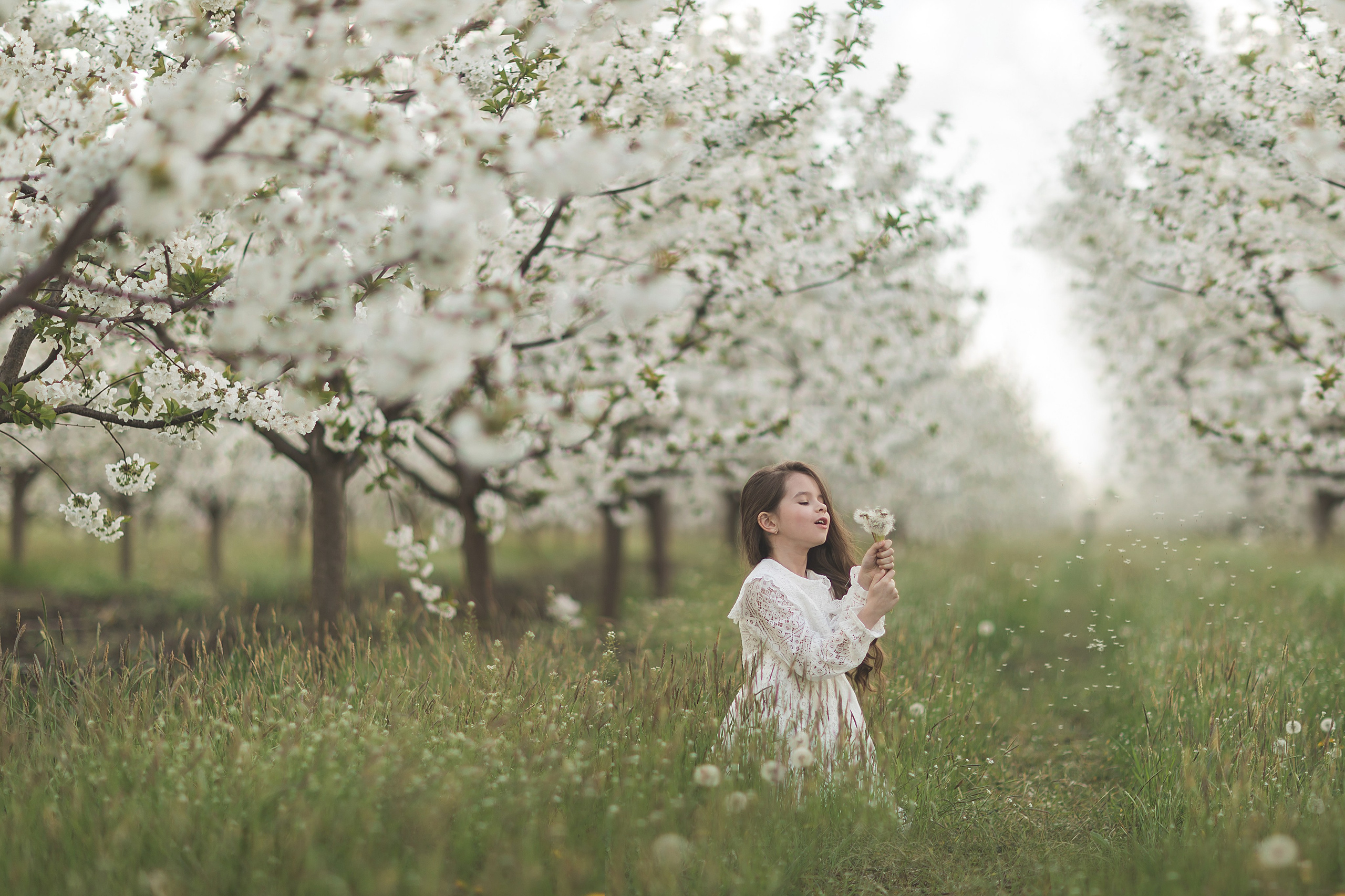 Фотодень в вишневом саду 11 апреля. Семейный и детский фотограф Краснодар Валерия Власенко