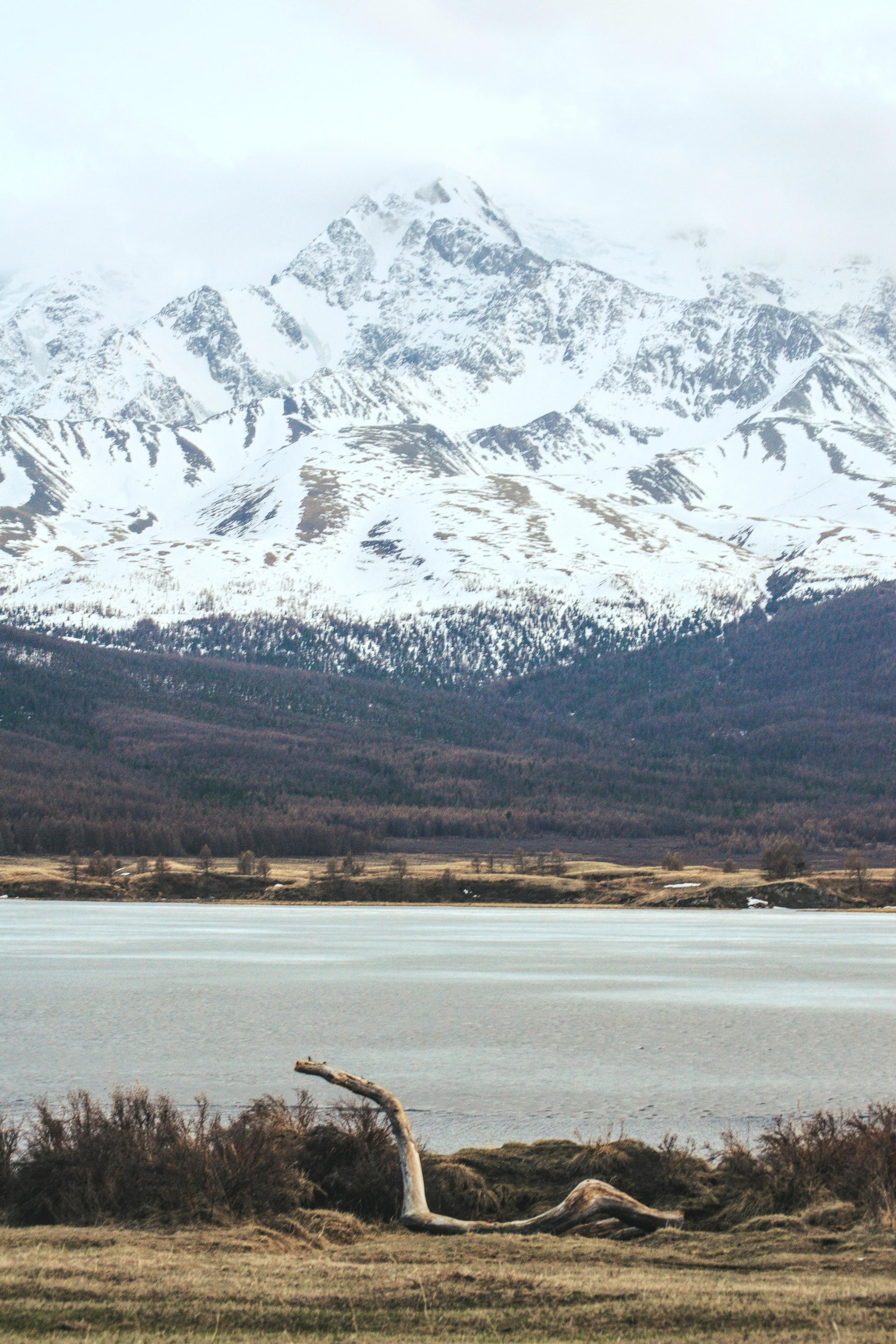 Джангысколь. Фотограф анималист, пейзажист, спортивные мероприятия. Новосибирск