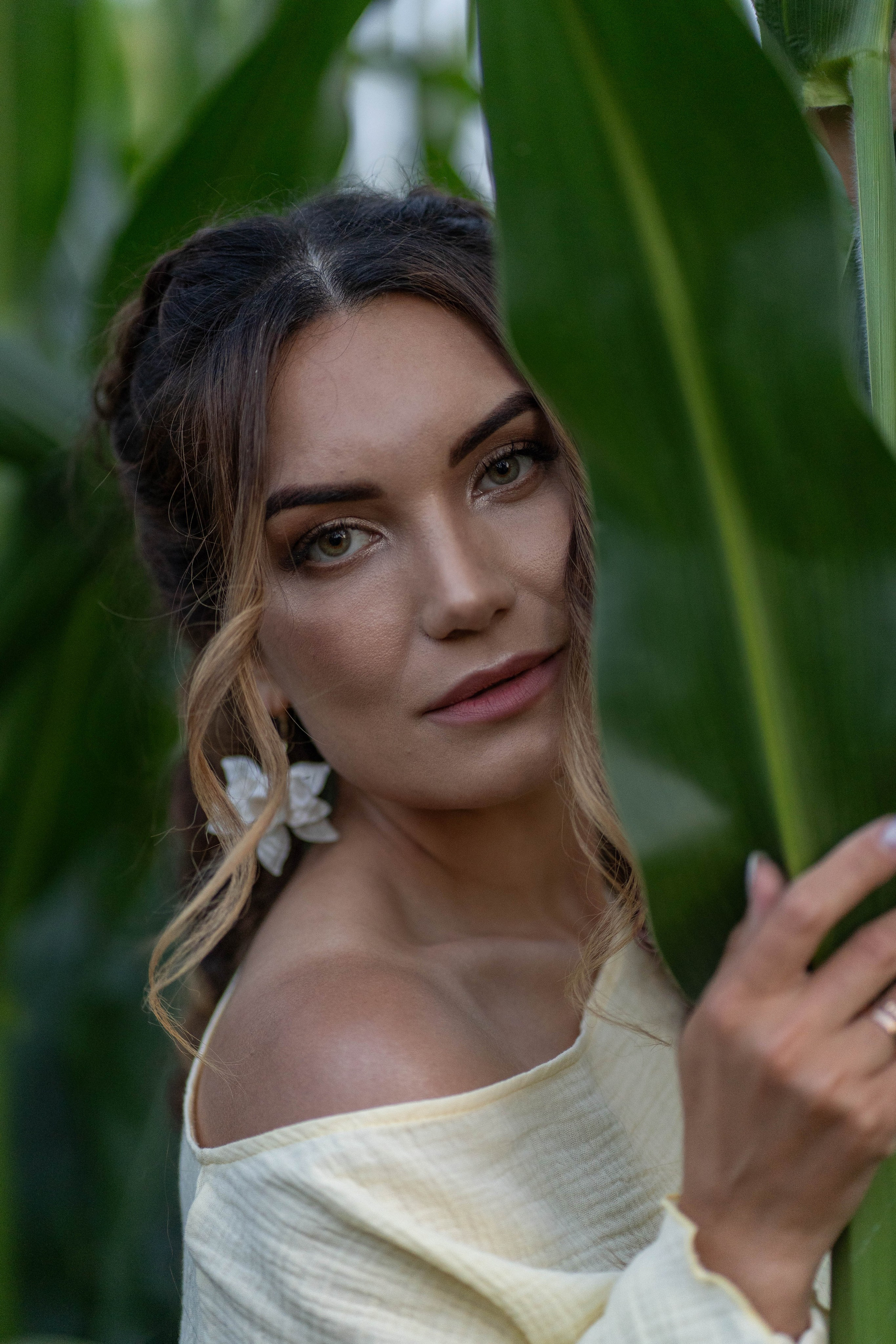 Кукурузное поле. Главная