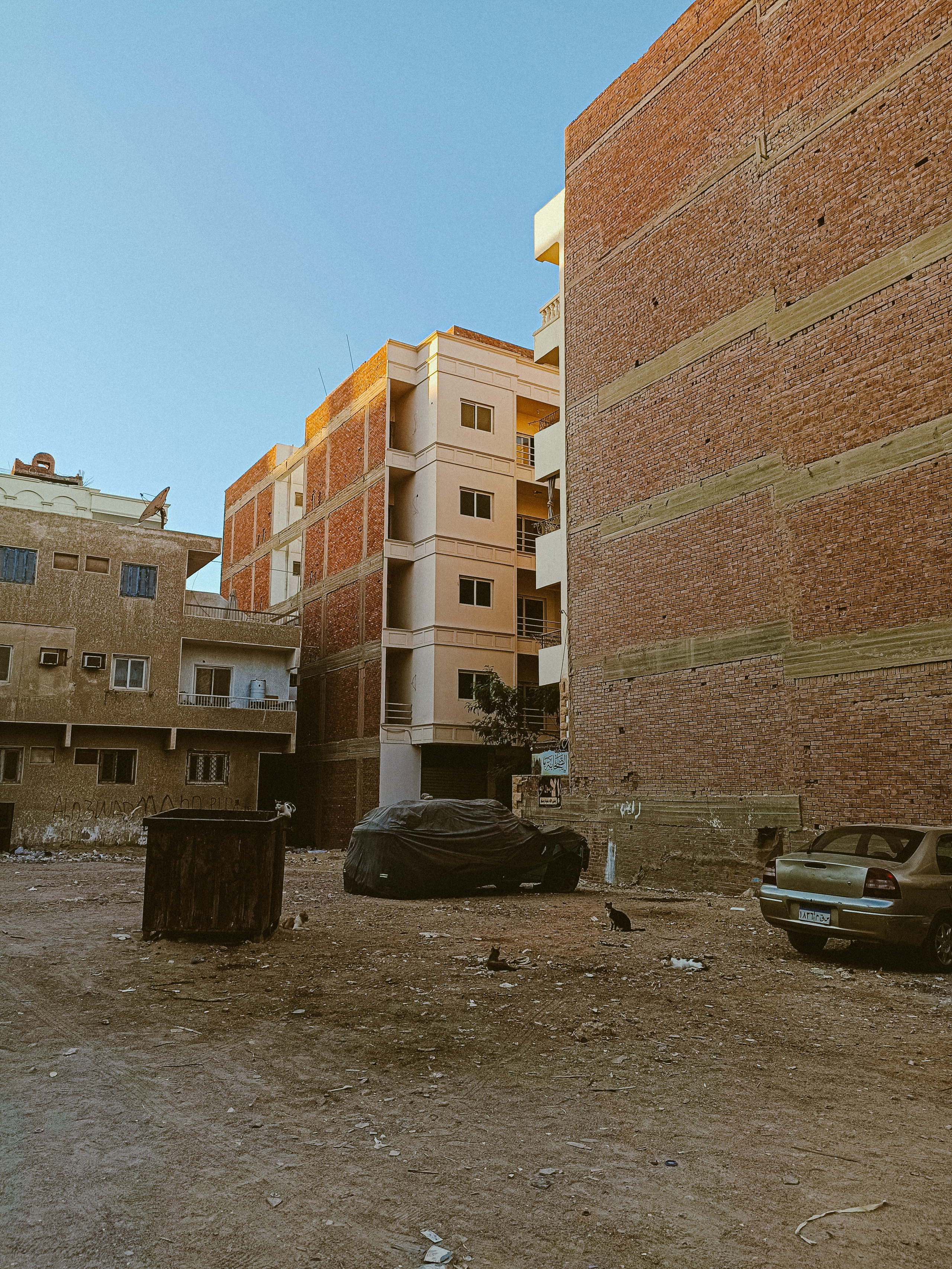 Мобильная. Jorgis — фотограф в Хургаде / обучение фотографии