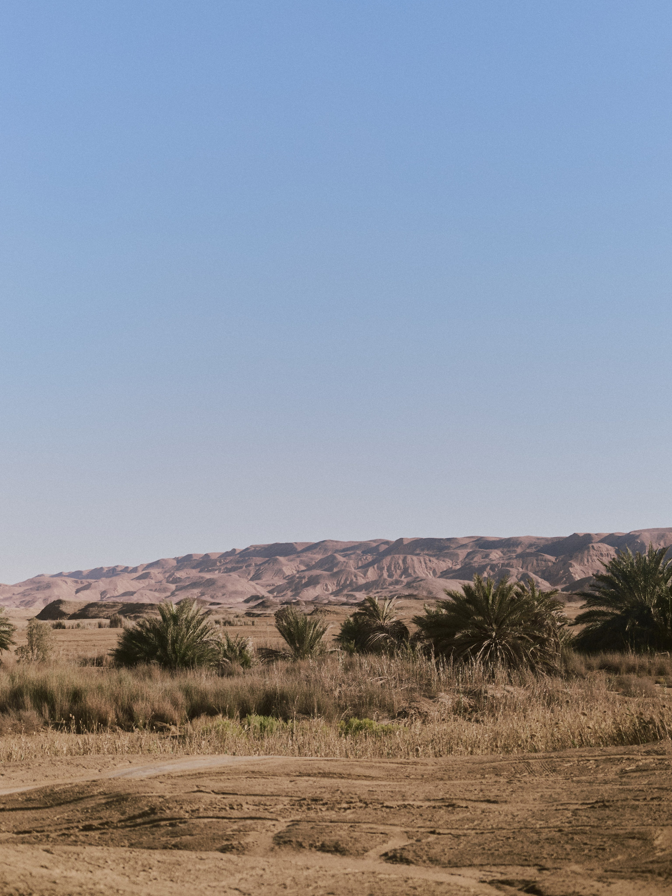 Природа. Jorgis Talè — photographer, kind person, teacher of arts and other mag