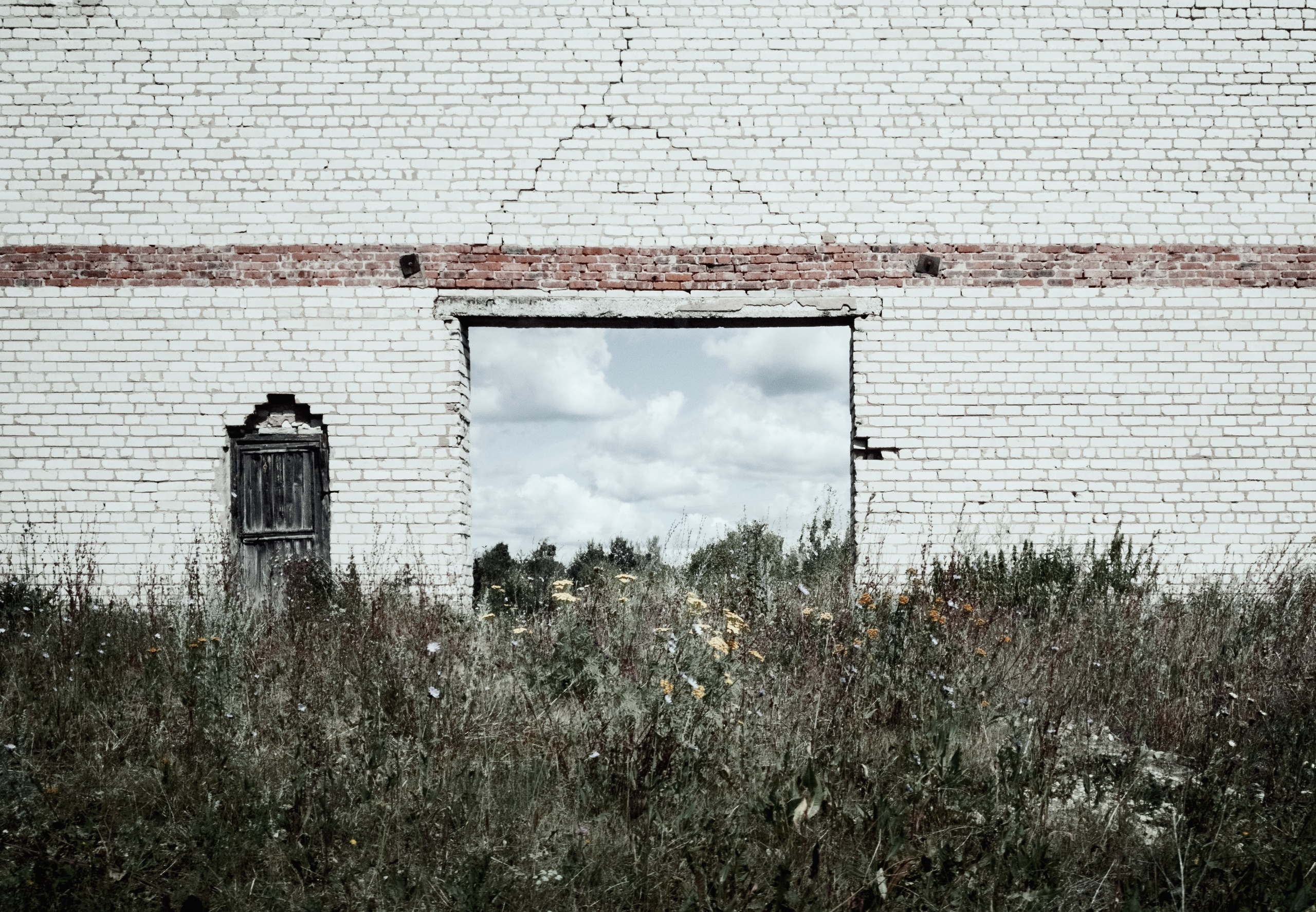 Природа. Фотограф Александр Тихонов