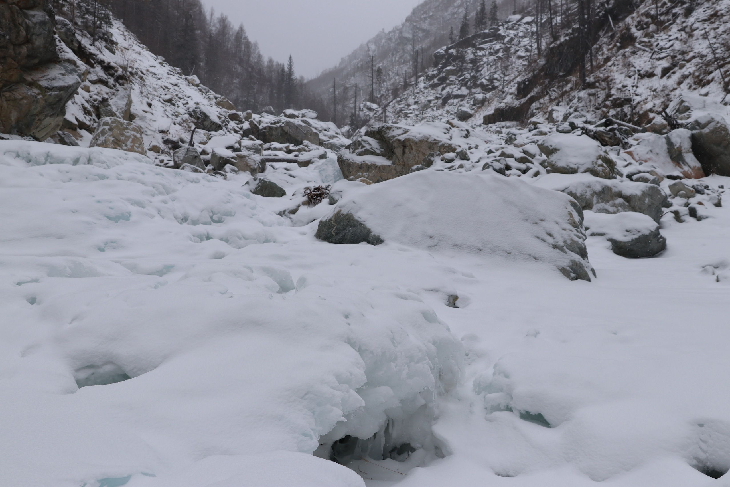 Аршан. Январь 2024. Путешественник-фотограф из Санкт-Петербурга Татьяна Свистулина