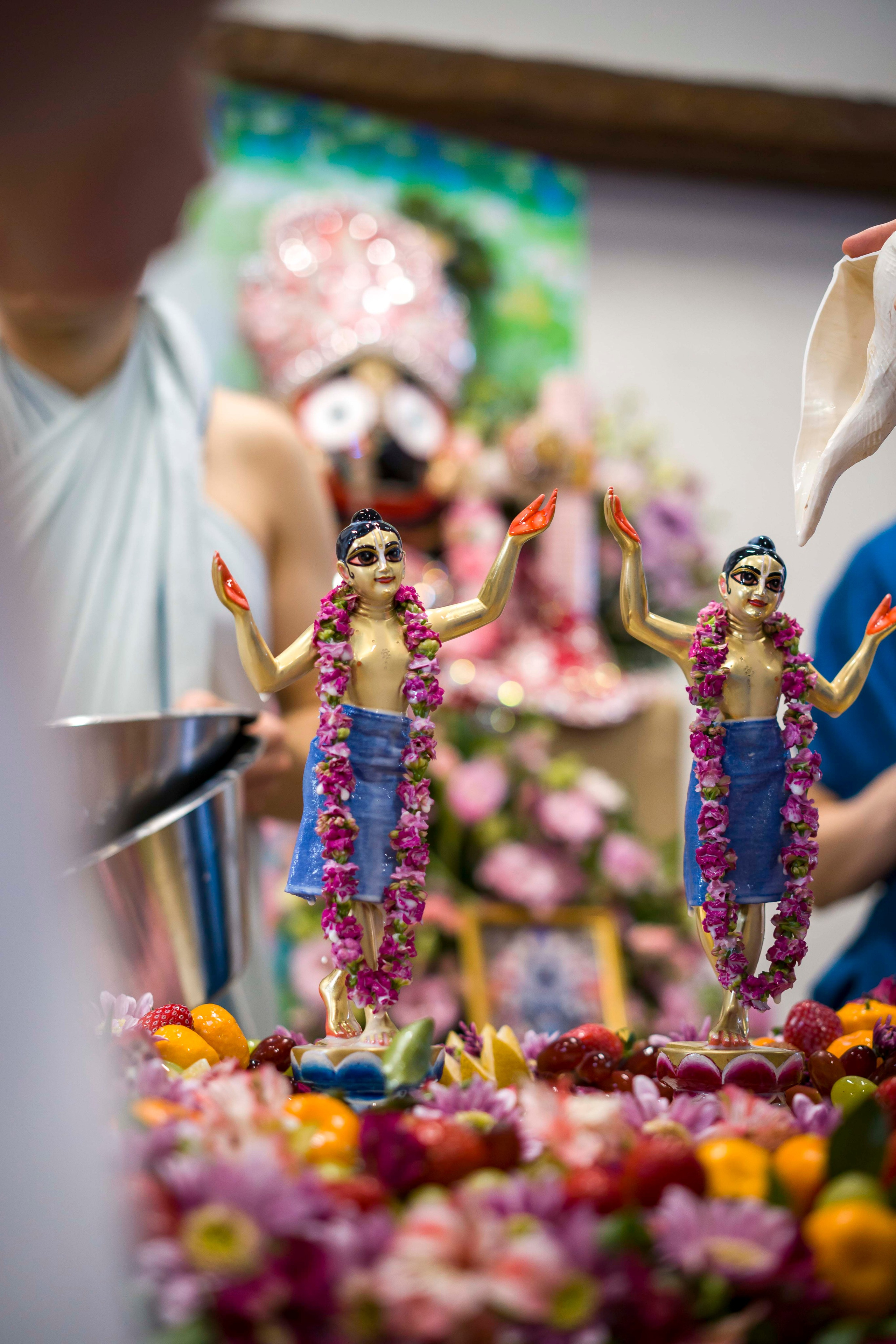 Нитьянанда Трайодаши 2026. Фотограф в Санкт-Петербурге. Репортажная и все съёмки для бизнеса