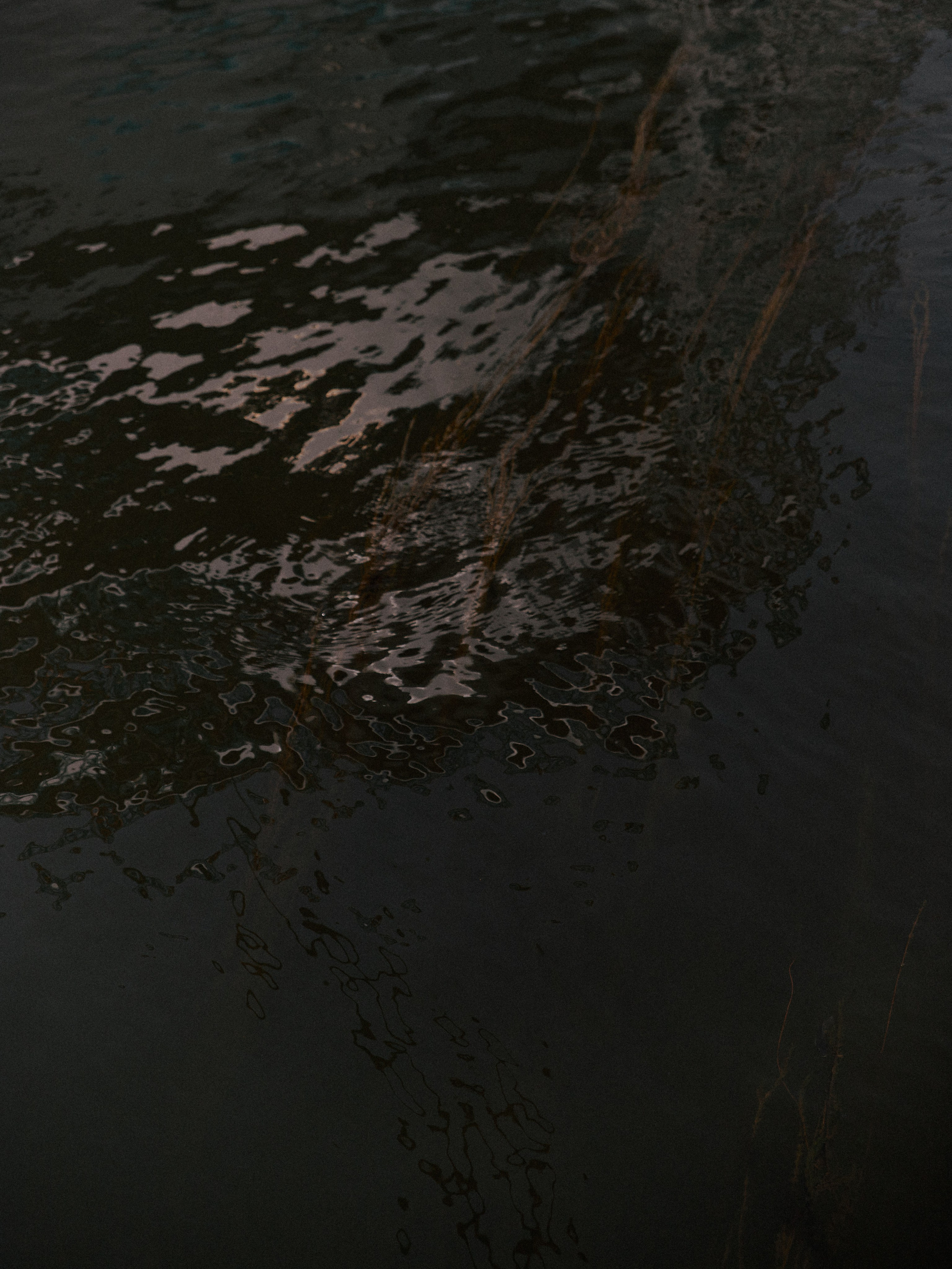 Природа. Jorgis Talè — photographer, kind person, teacher of arts and other mag