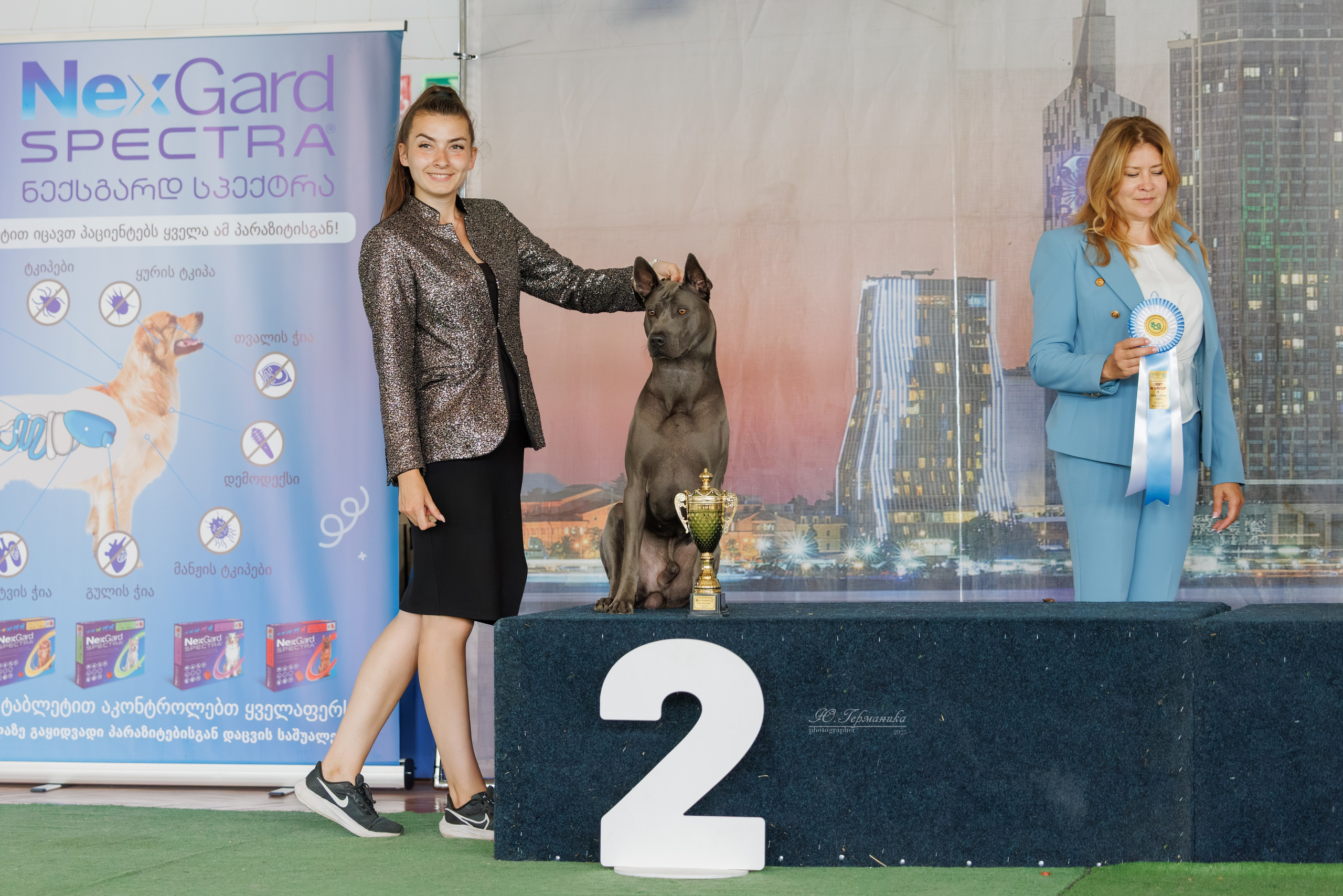 Батуми 3хCACIB 27-29.06.2025. Фотограф-анималист Юлия Германика